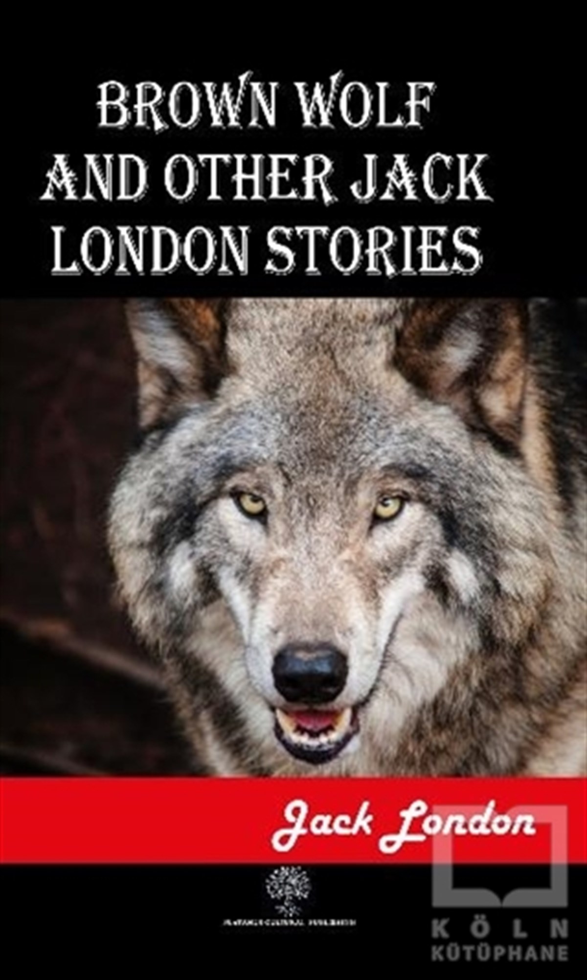 Jack LondonTürkçe RomanlarBrown Wolf and Other Jack London Stories