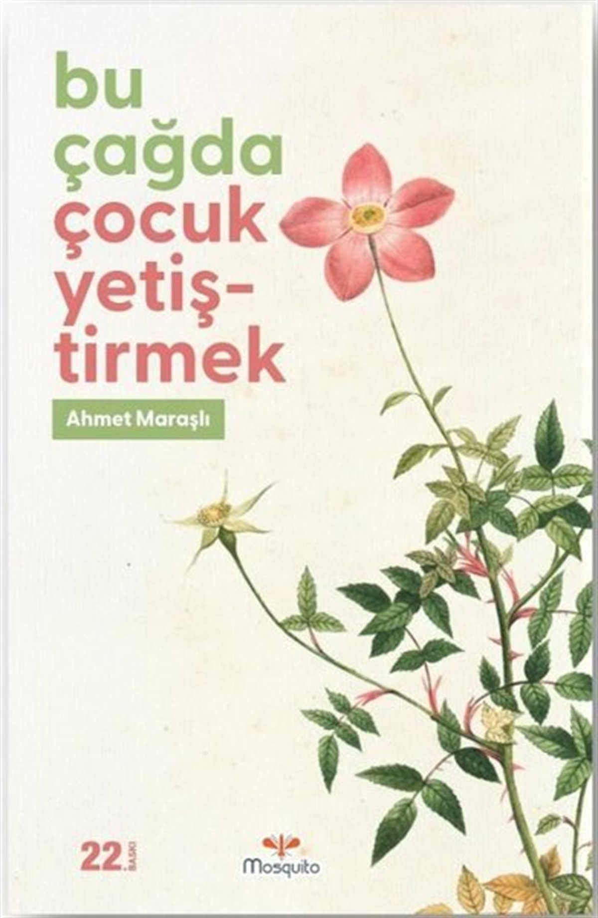 Ahmet MaraşlıAile - ÇocukBu Çağda Çocuk Yetiştirmek