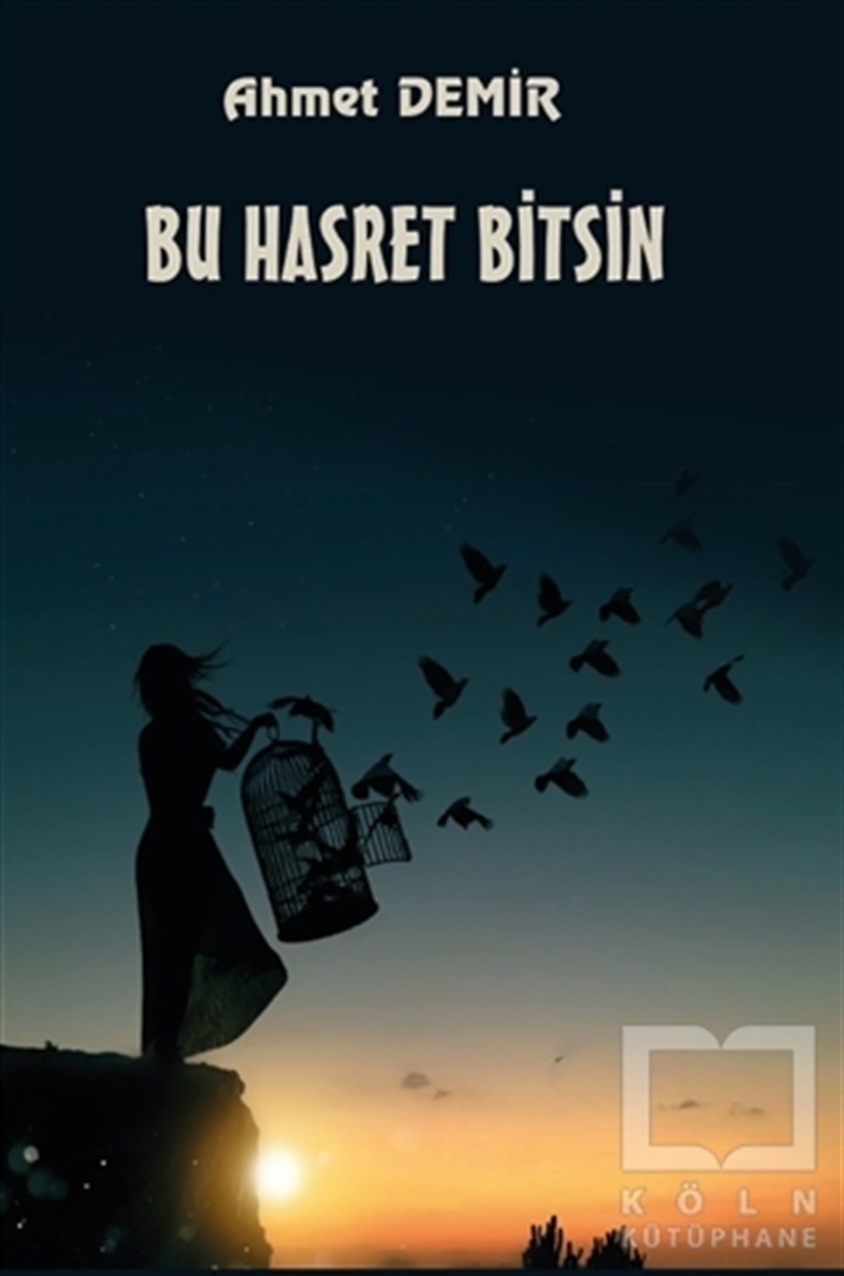 Ahmet DemirTürkçe Şiir KitaplarıBu Hasret Bitsin