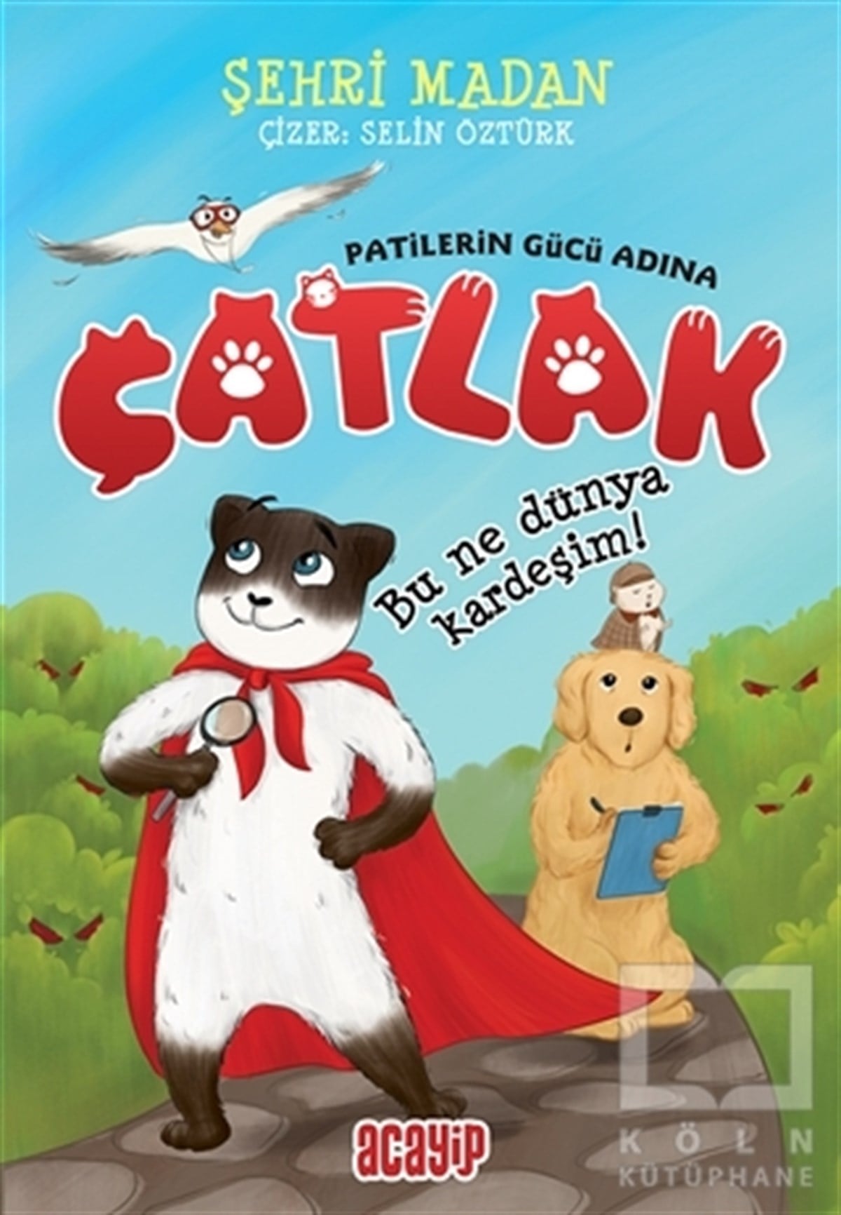 Şehri MadanÇocuk Hikaye KitaplarıBu Ne Dünya Kardeşim! - Çatlak