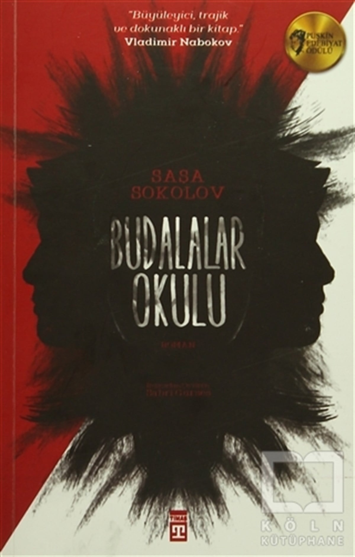 Saşa SokolovRomanBudalalar Okulu