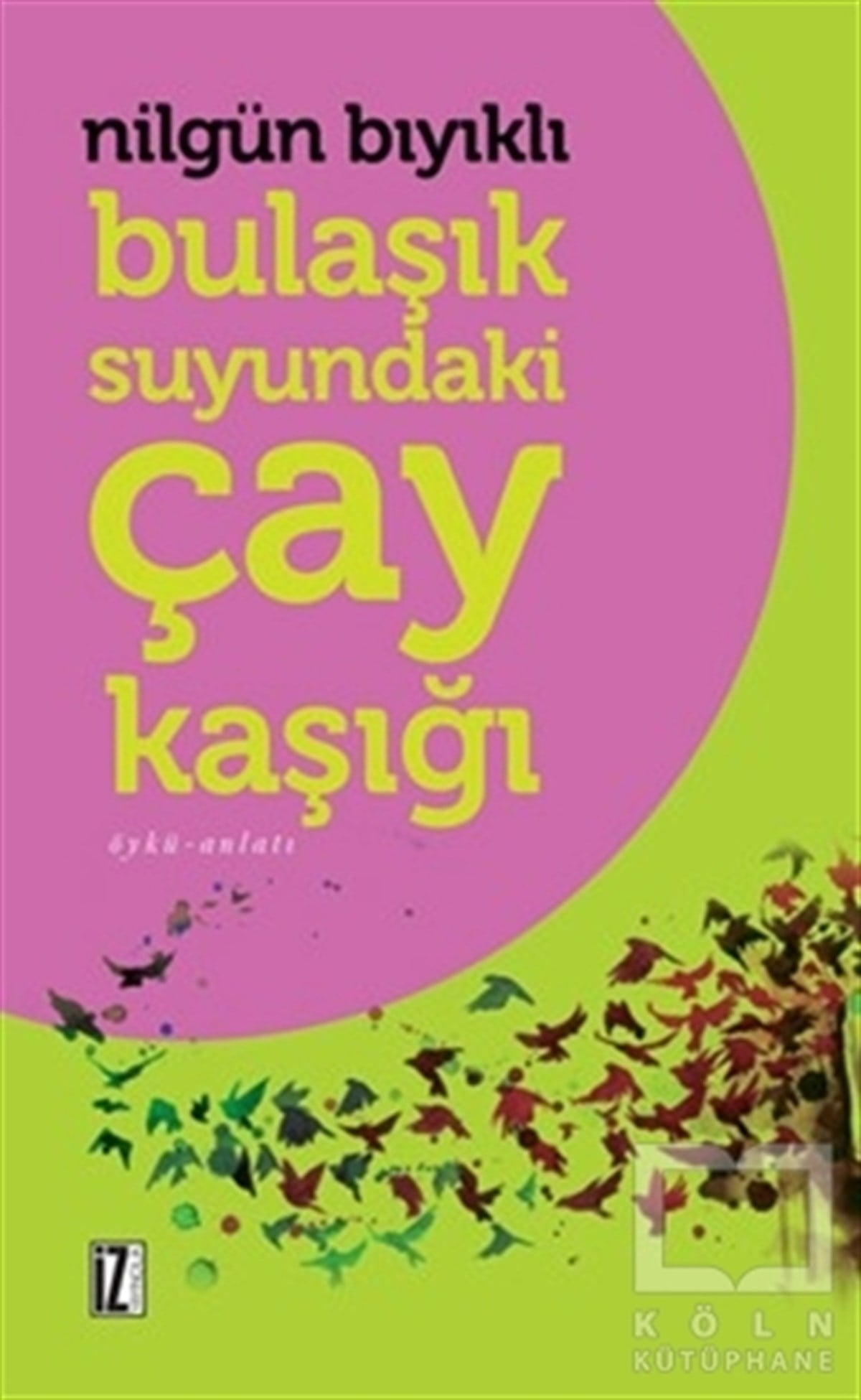 Nilgün BıyıklıÖyküBulaşık Suyundaki Çay Kaşığı