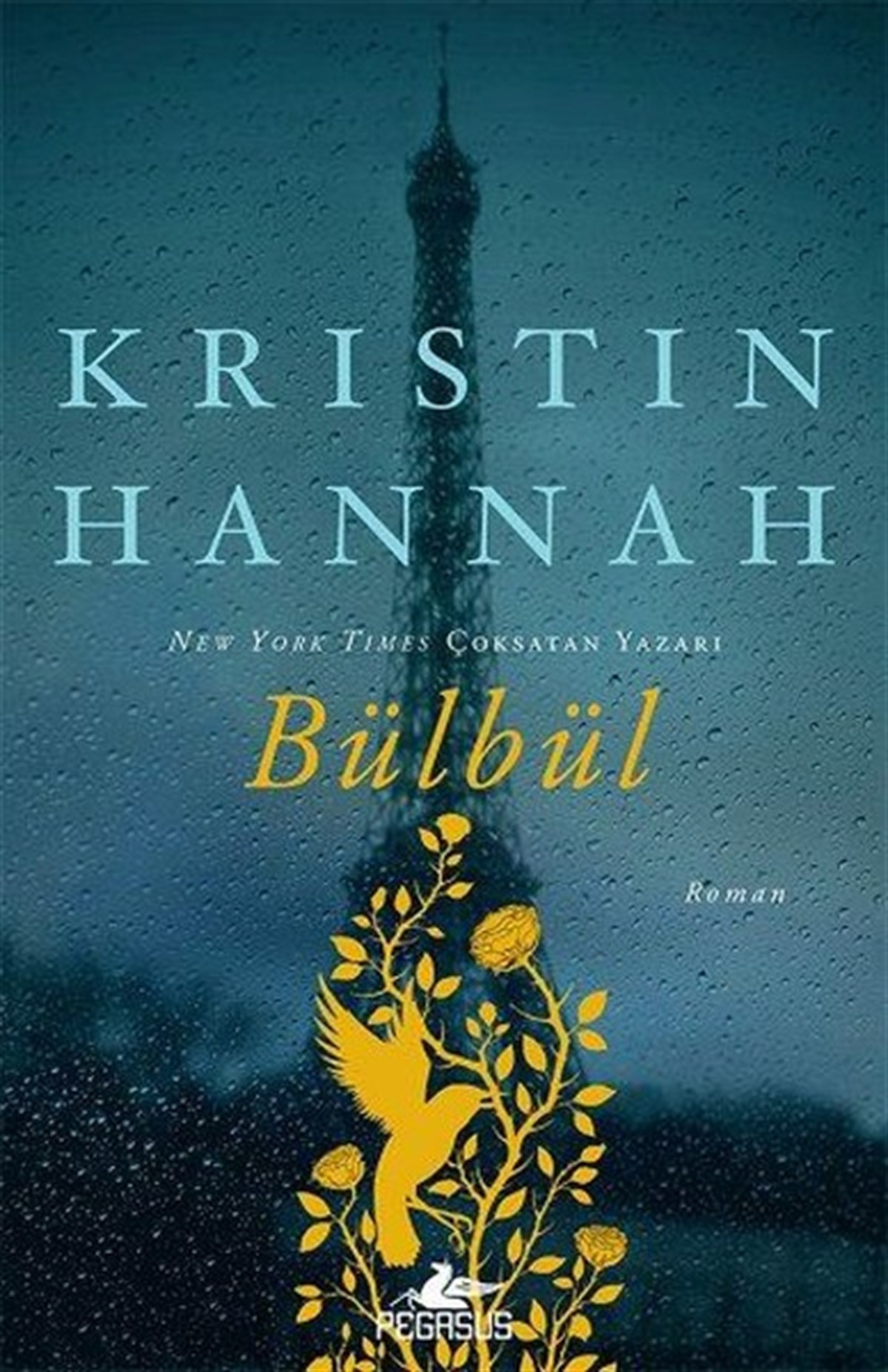 Kristin HannahTürkçe RomanlarBülbül