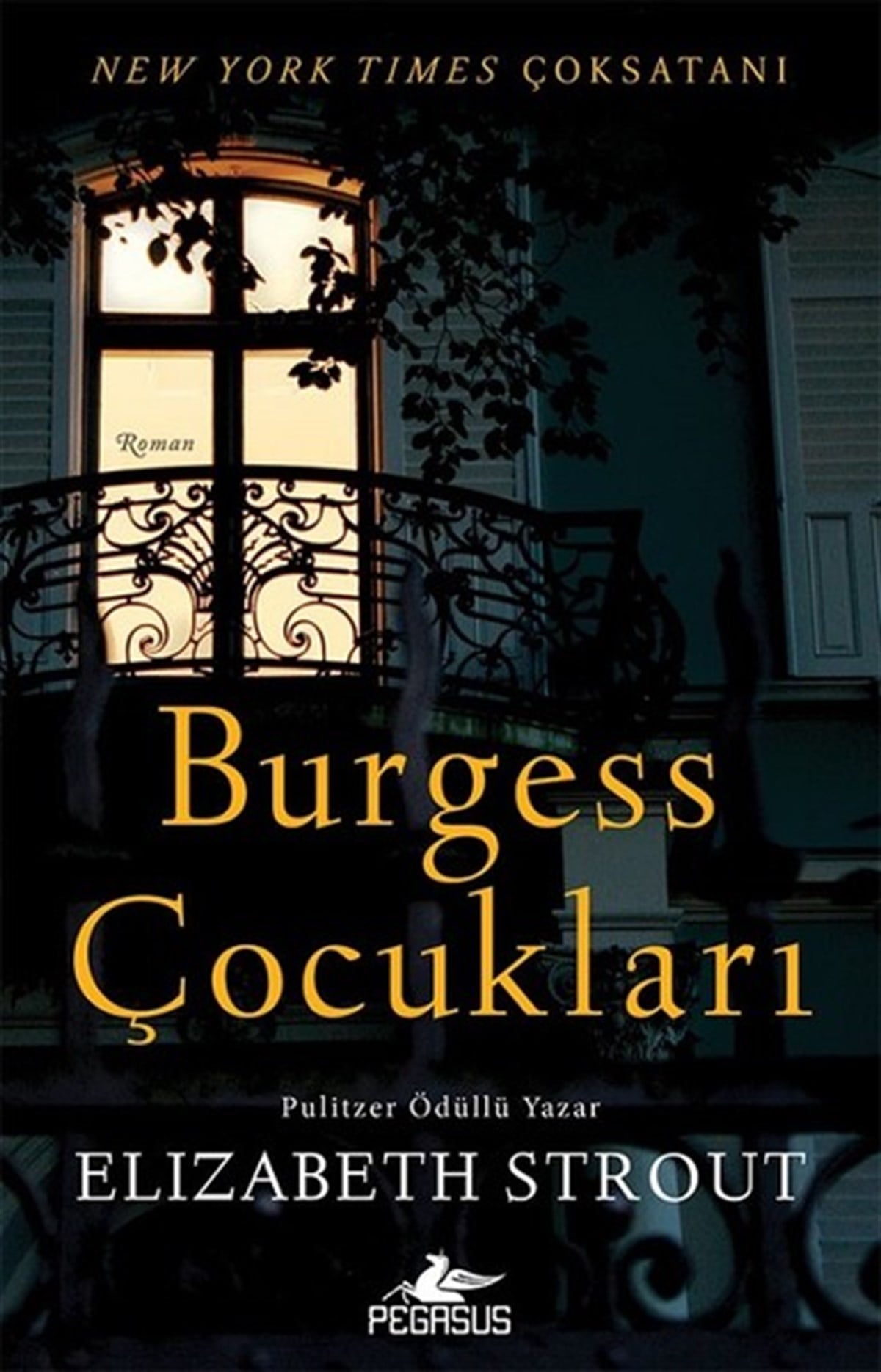 Elizabeth StroutDünya RomanBurgess Çocukları