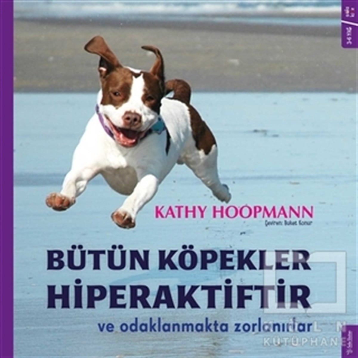 Kathy HoopmannAile ve ÇocukBütün Köpekler Hiperaktiftir ve Odaklanmakta Zorlanırlar