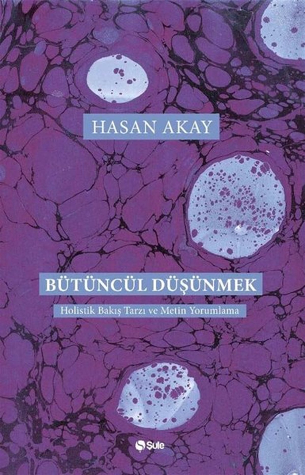 Hasan AkayFelsefe BilimiBütüncül Düşünmek