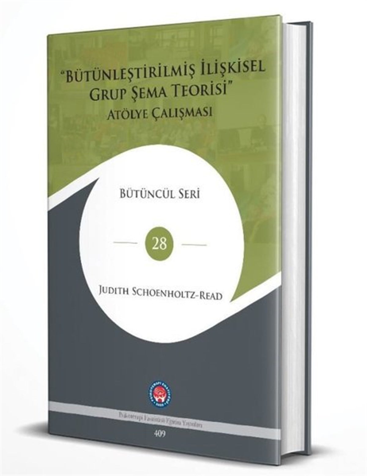 Judith Schoenholtz ReadPsikoloji BilimiBütünleştirilmiş İlişkisel Grup Şema Teorisi Atölye Çalışması - Bütüncül Seri 28