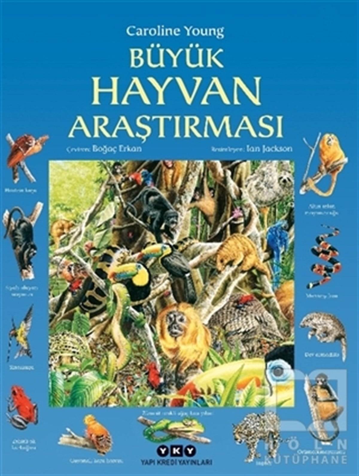 Caroline YoungBilimsel Çocuk KitaplarıBüyük Hayvan Araştırması