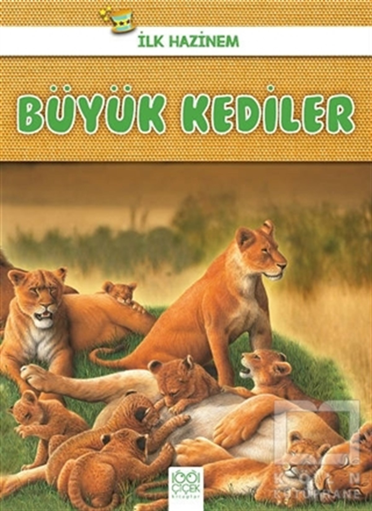 Denise RyanZeka GelişimiBüyük Kediler - İlk Hazinem