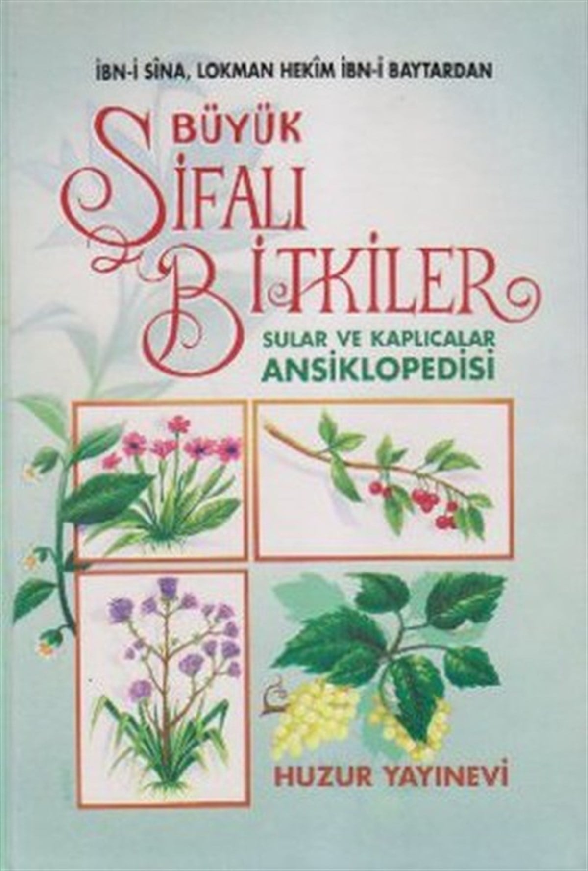 Abdullah KarakuşGenel Sağlık KitaplarıBüyük Şifalı Bitkiler Sular ve Kaplıcalar Ansiklopedisi (1. Hamur)