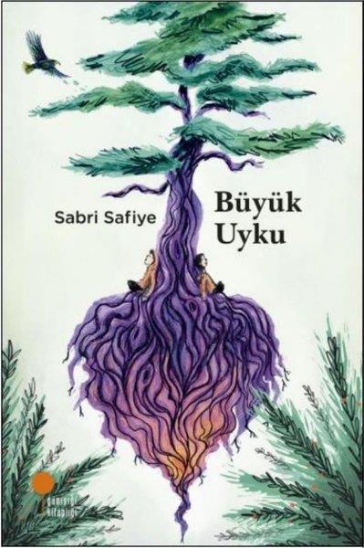 Sabri SafiyeÇocuk Gençlik RomanlarıBüyük Uyku