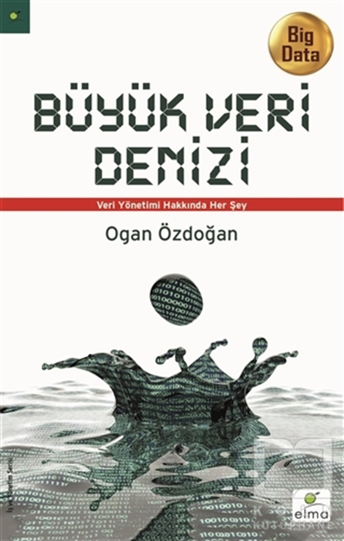 Ogan Özdoğanİş DünyasıBüyük Veri Denizi