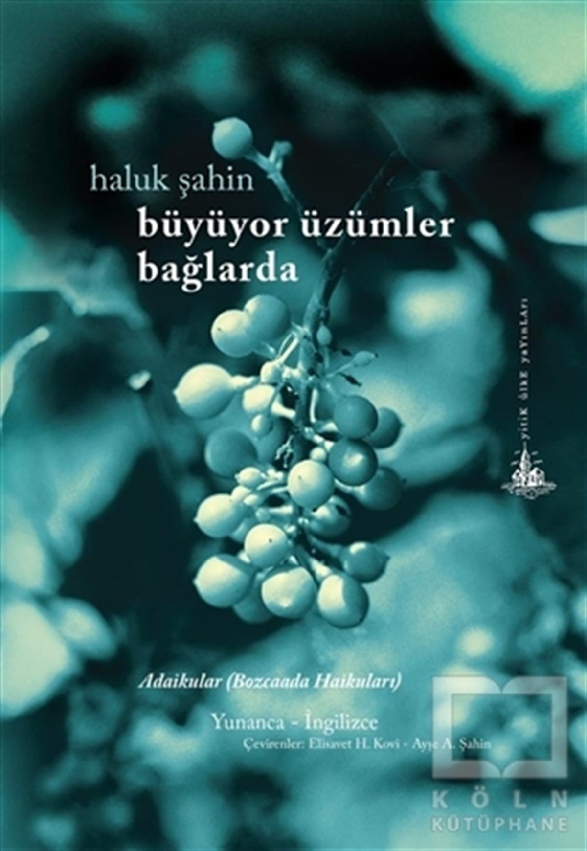 Haluk ŞahinAşkBüyüyor Üzümler Bağlarda