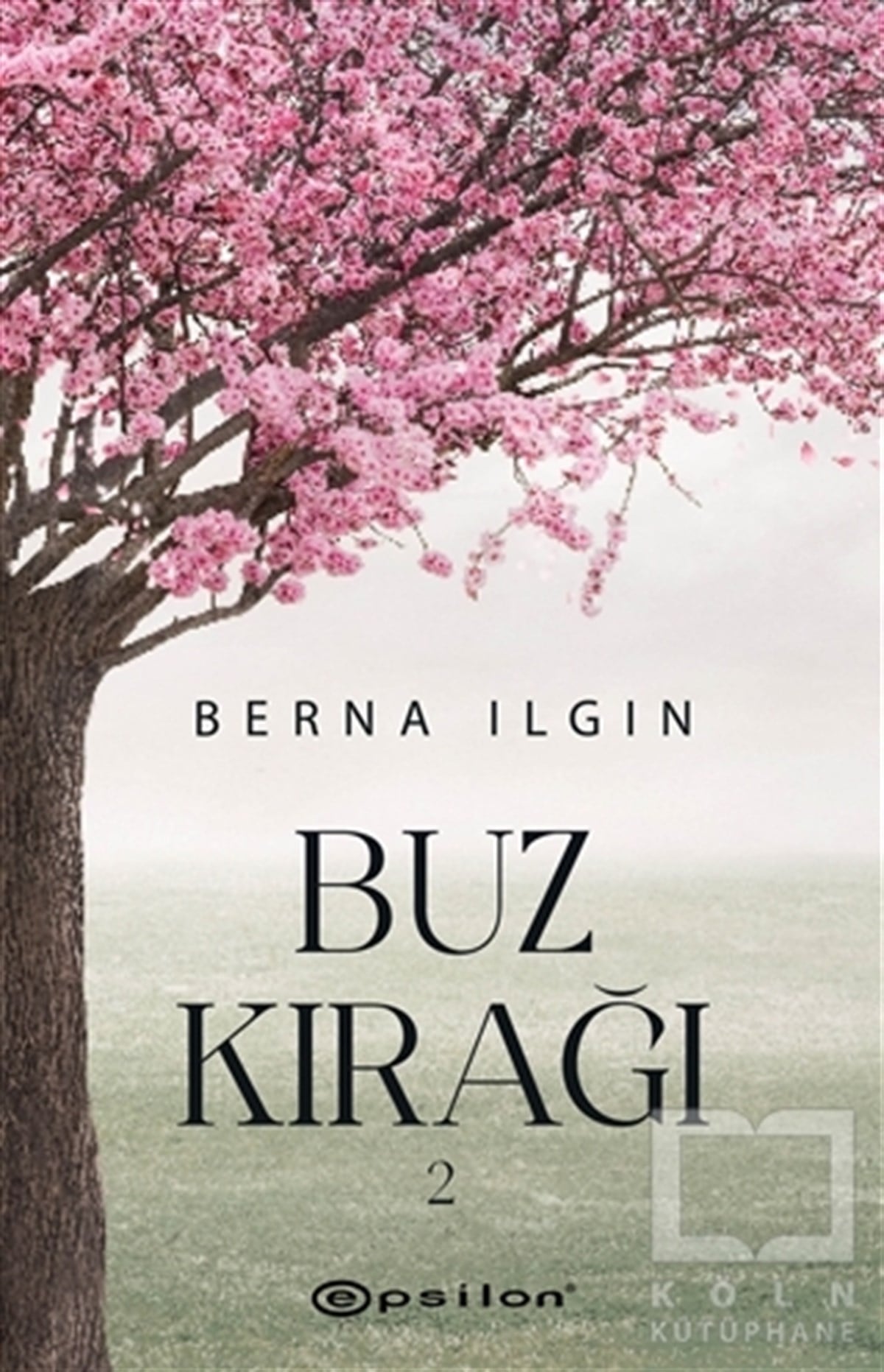 Berna IlgınTürkçe RomanlarBuz Kırağı 2