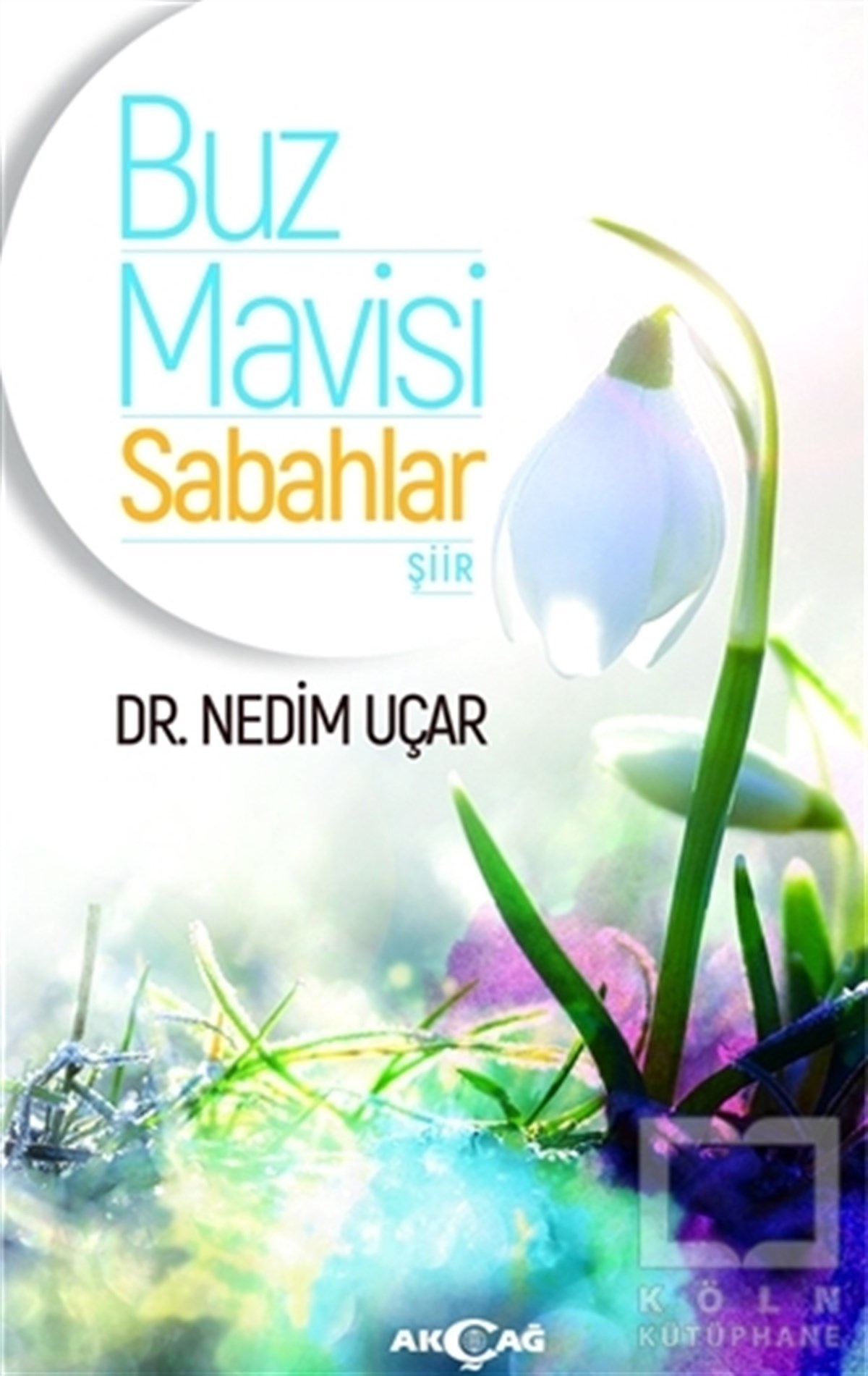 Nedim UçarŞiirBuz Mavisi Sabahlar