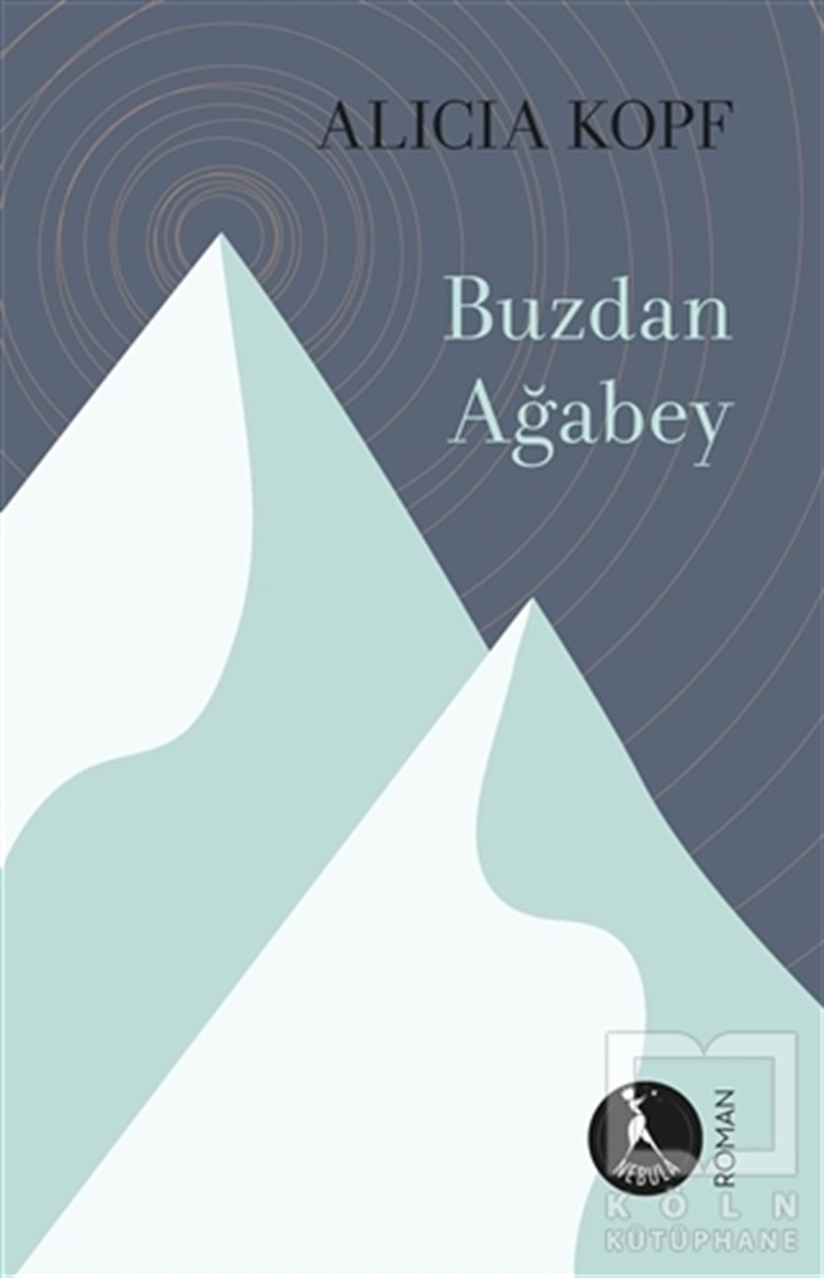 Alicia KopfTürkçe RomanlarBuzdan Ağabey