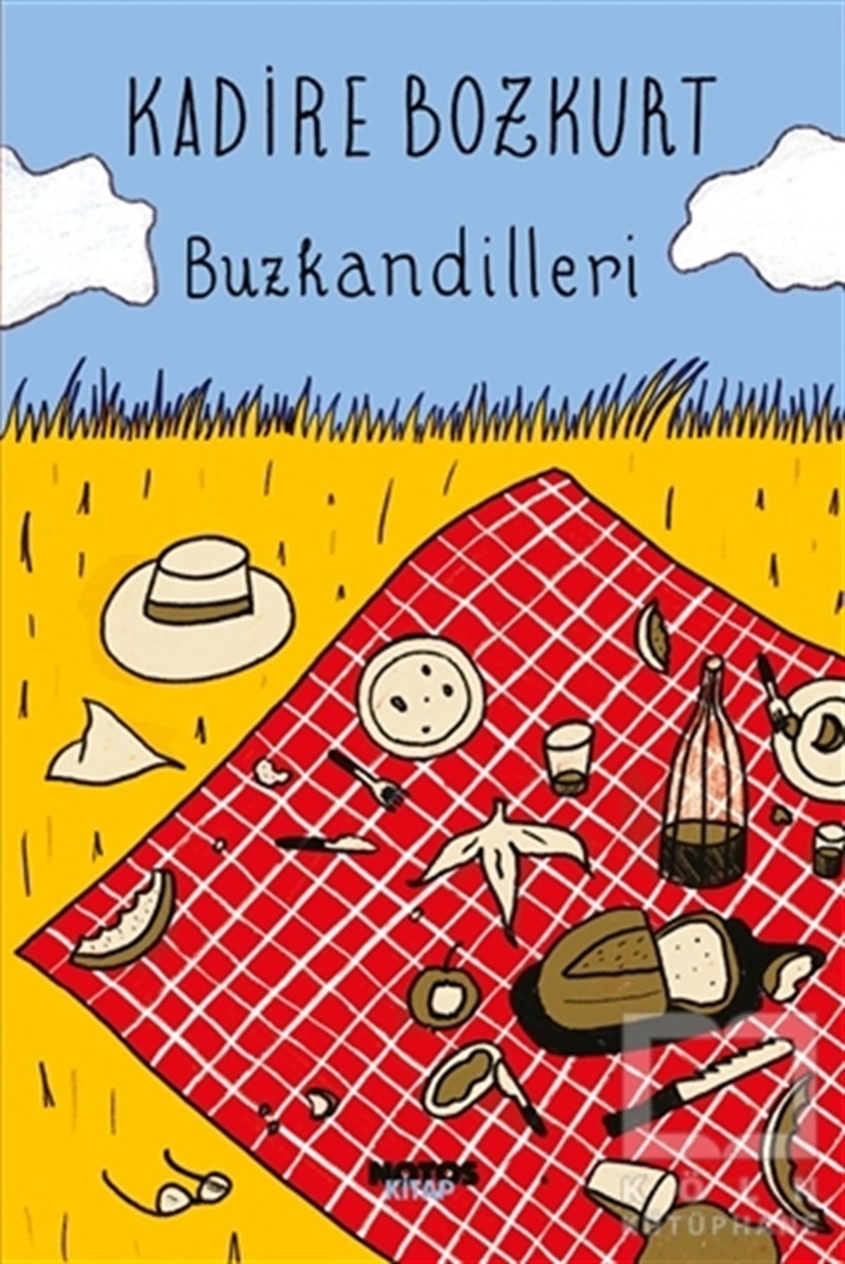 Kadire BozkurtHikaye (Öykü) KitaplarıBuzkandilleri