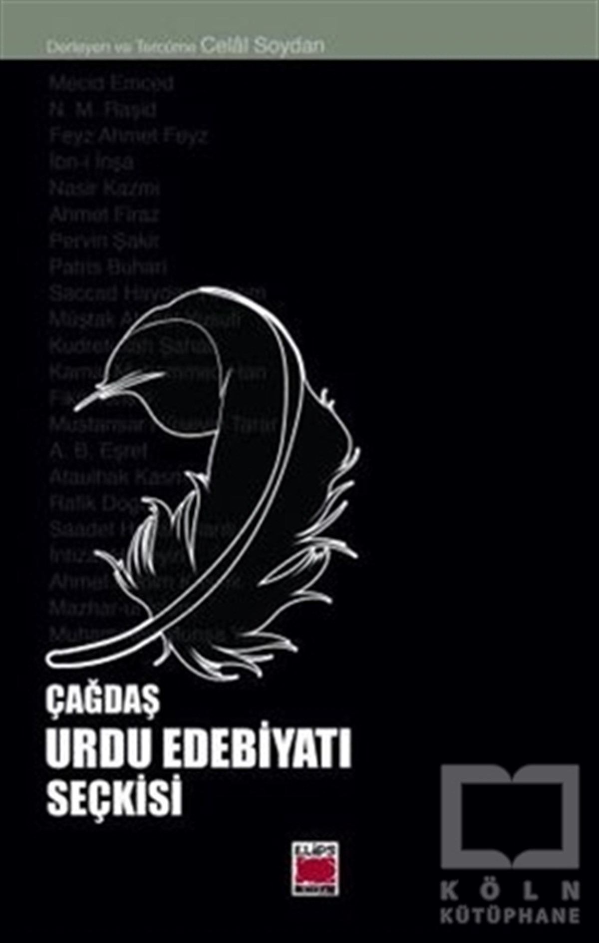 KolektifDenemeÇağdaş Urdu Edebiyatı Seçkisi