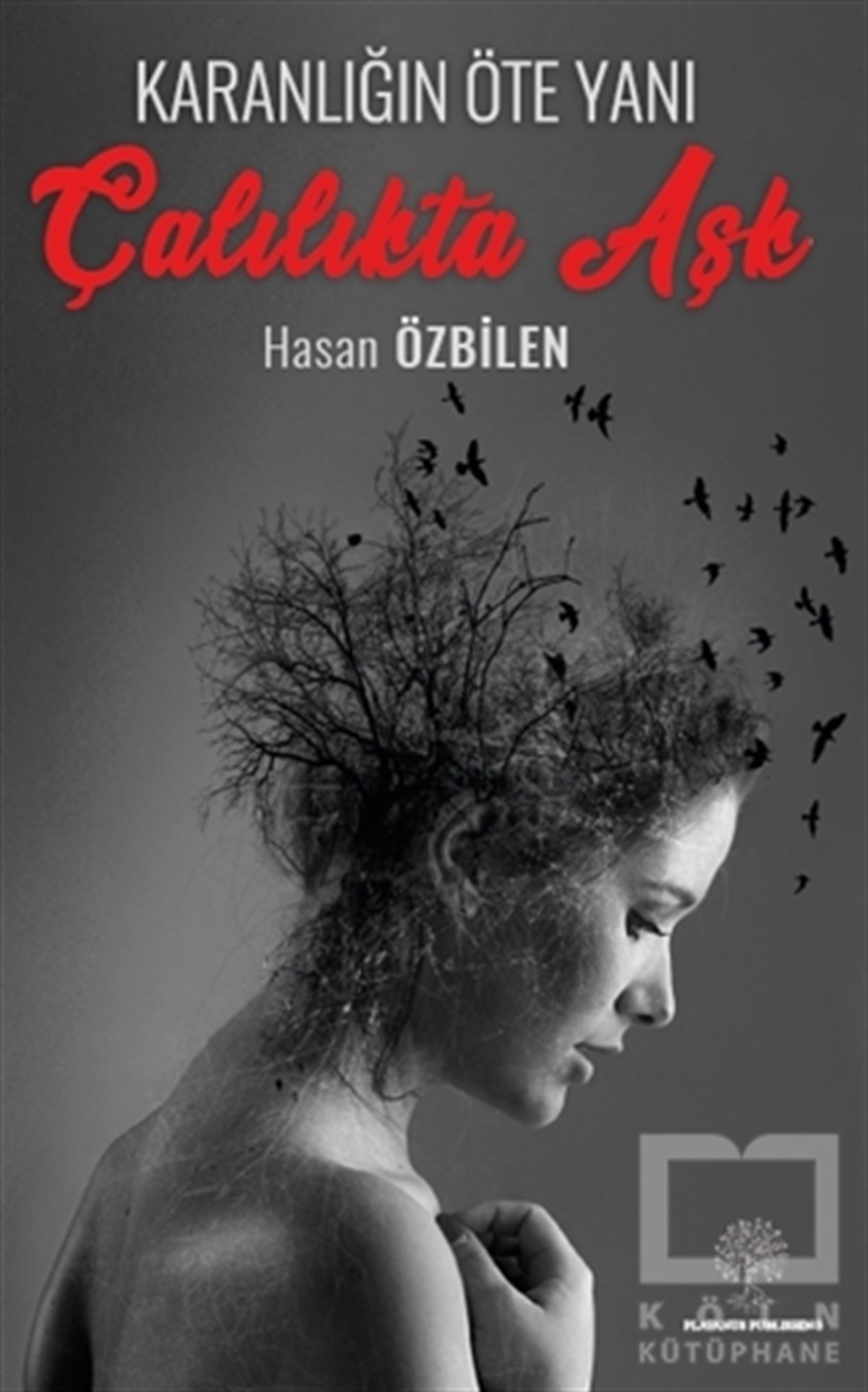 Hasan ÖzbilenTürkçe RomanlarÇalılıkta Aşk