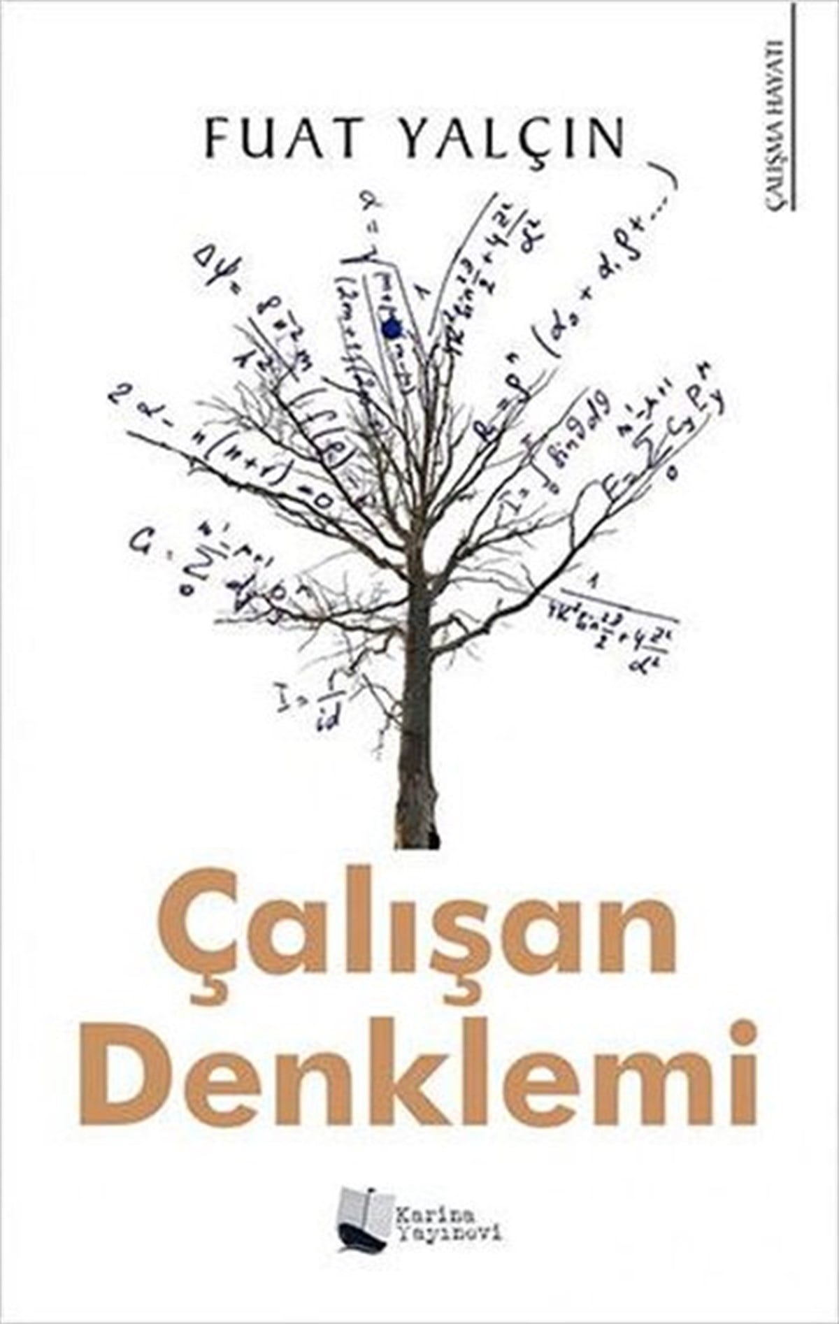 Fuat YalçınYönetim / İş Geliştirme / KaliteÇalışan Denklemi