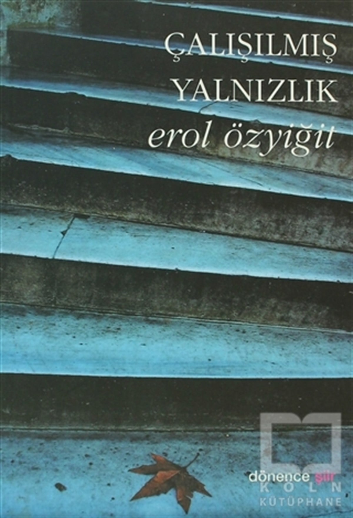 Erol ÖzyiğitŞiirÇalışılmış Yalnızlık