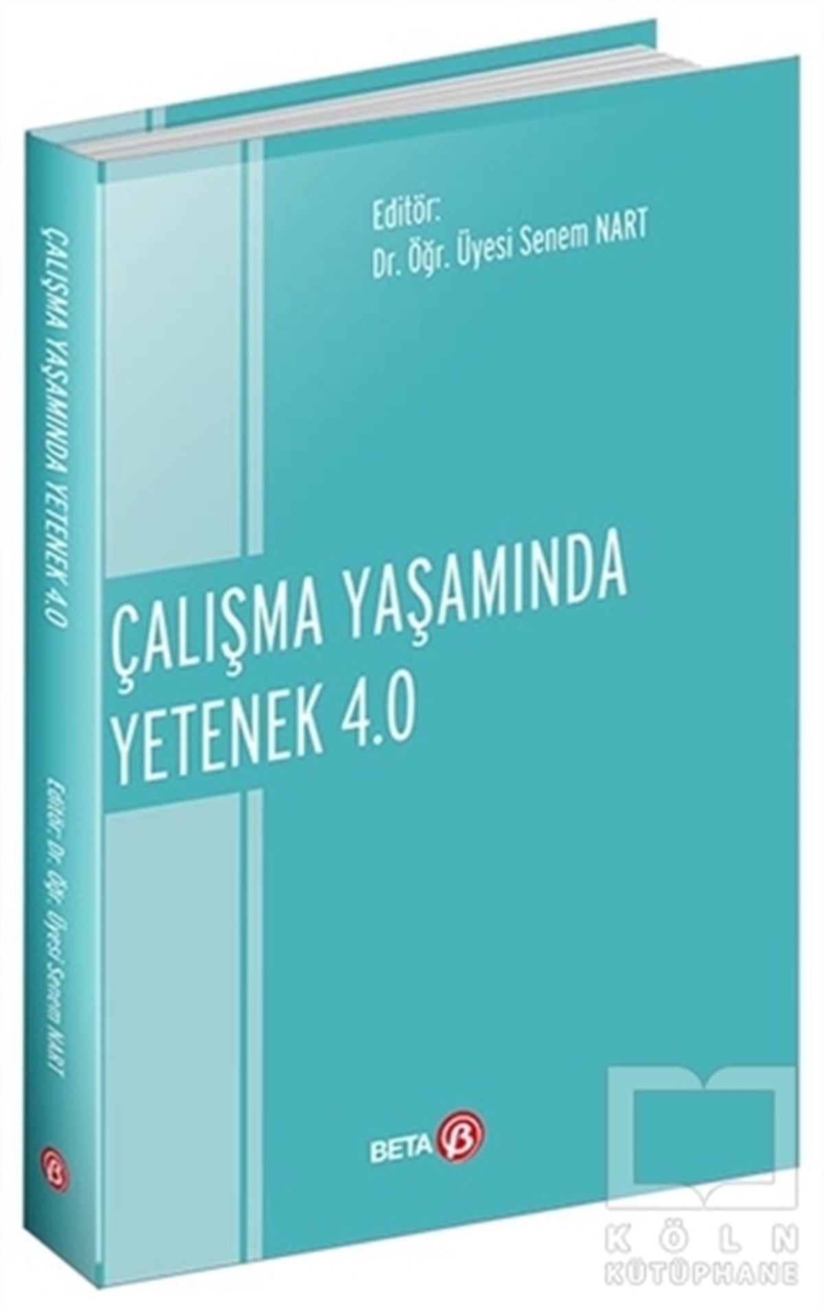 Senem Nartİş Dünyası KitaplarıÇalışma Yaşamında Yetenek 4.0