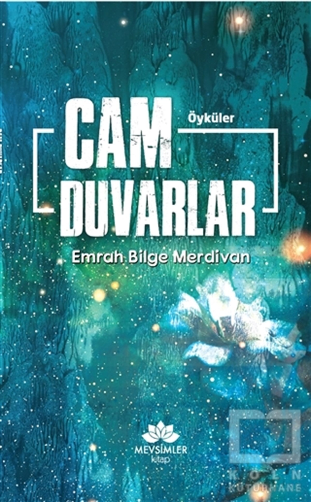 Emrah Bilge MerdivanÖyküCam Duvarlar