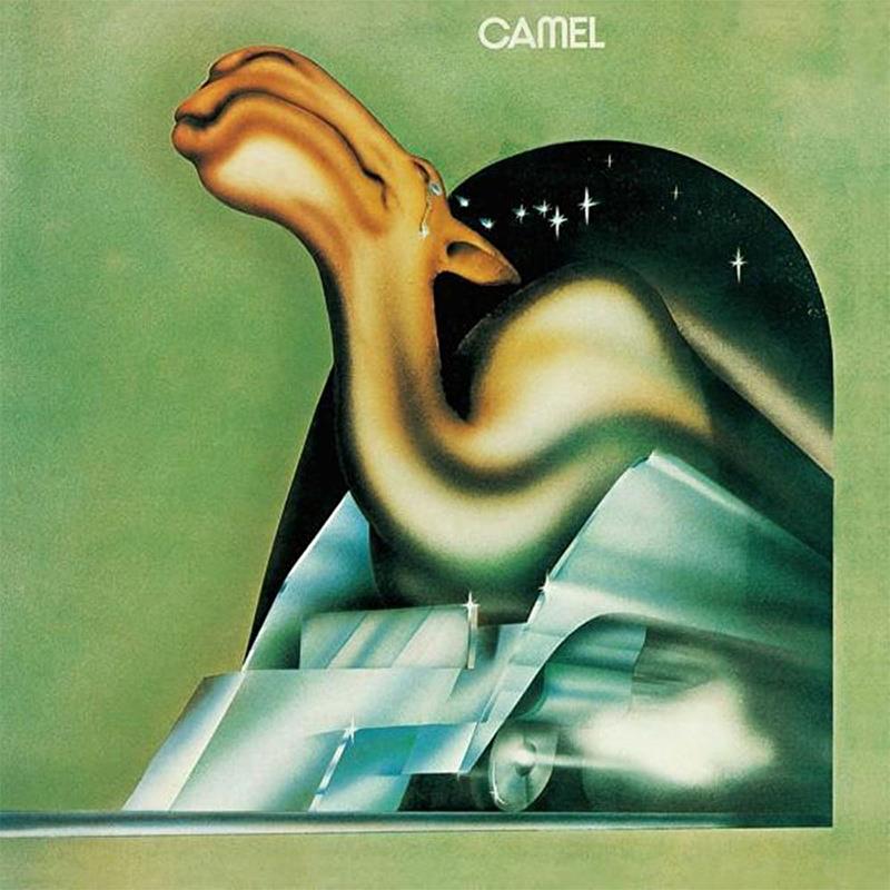 camel-camelcamel-rock-d-6100.jpg