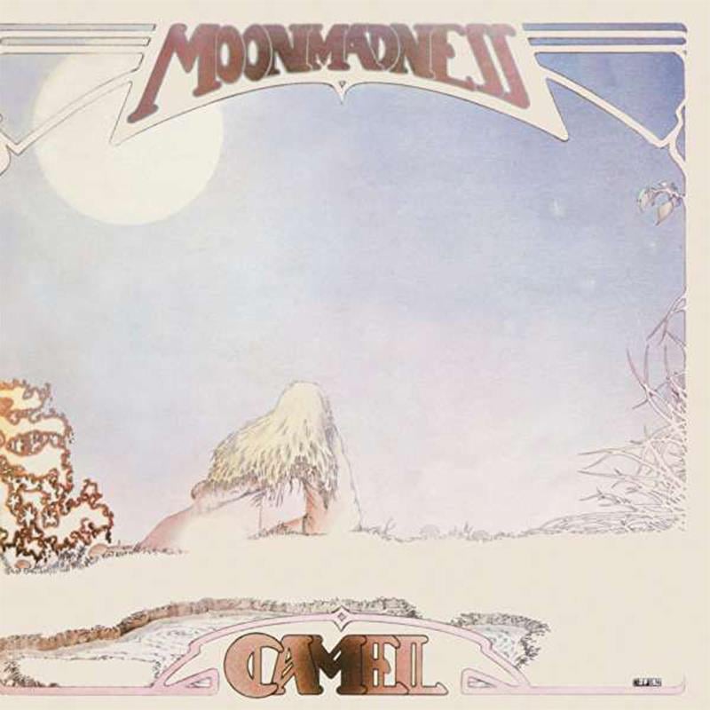 camel-moonmadnesscamel-rock-ad9b-9.jpg