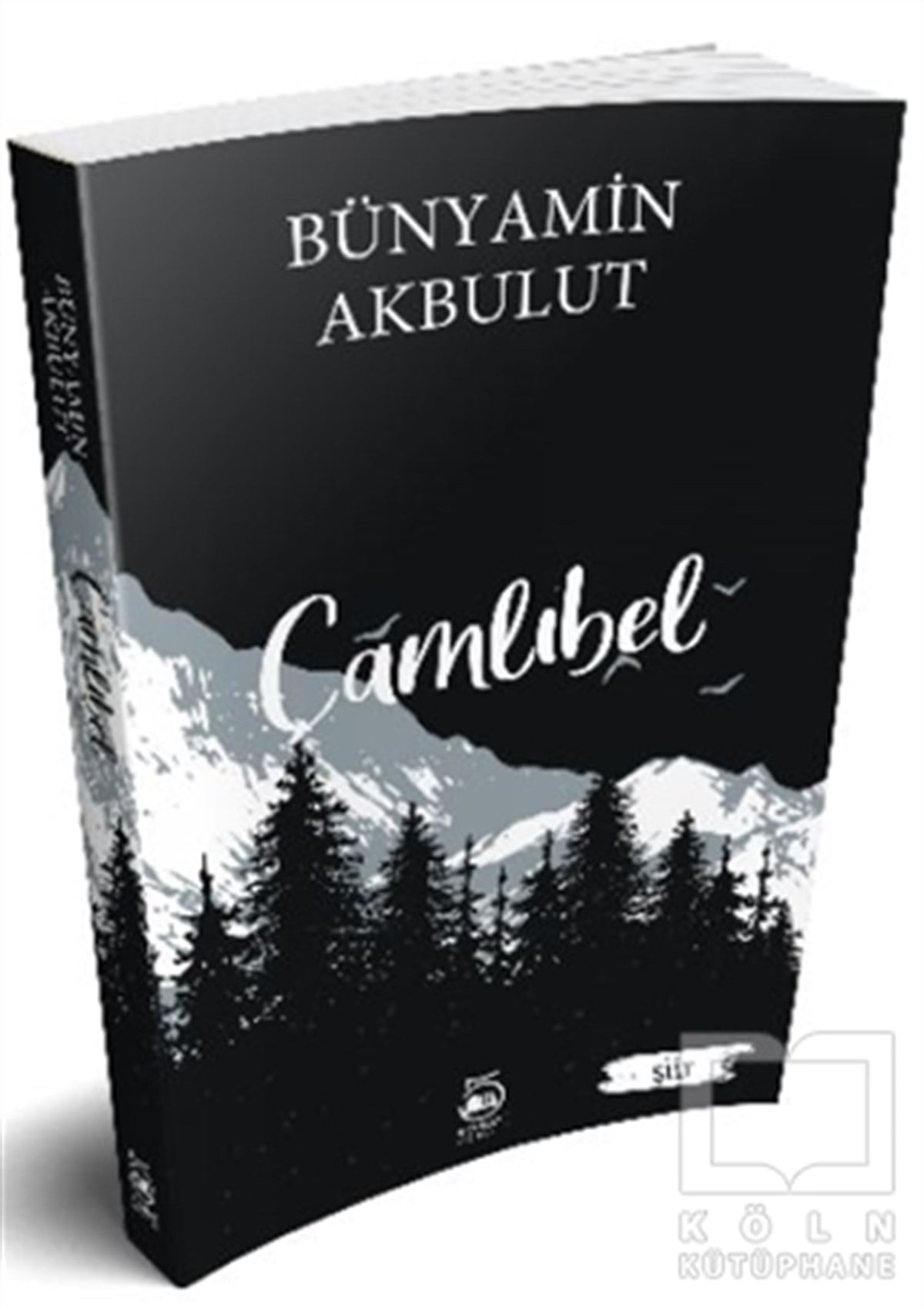 Bünyamin AkbulutTürkçe Şiir KitaplarıÇamlıbel