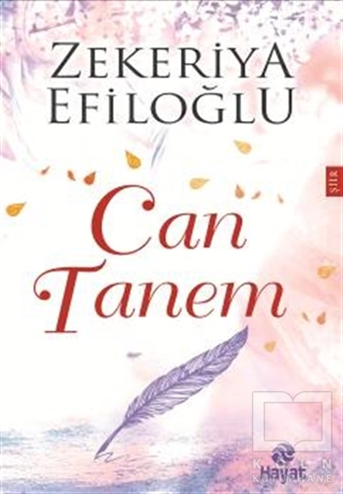 Zekeriya EfiloğluŞiirCan Tanem