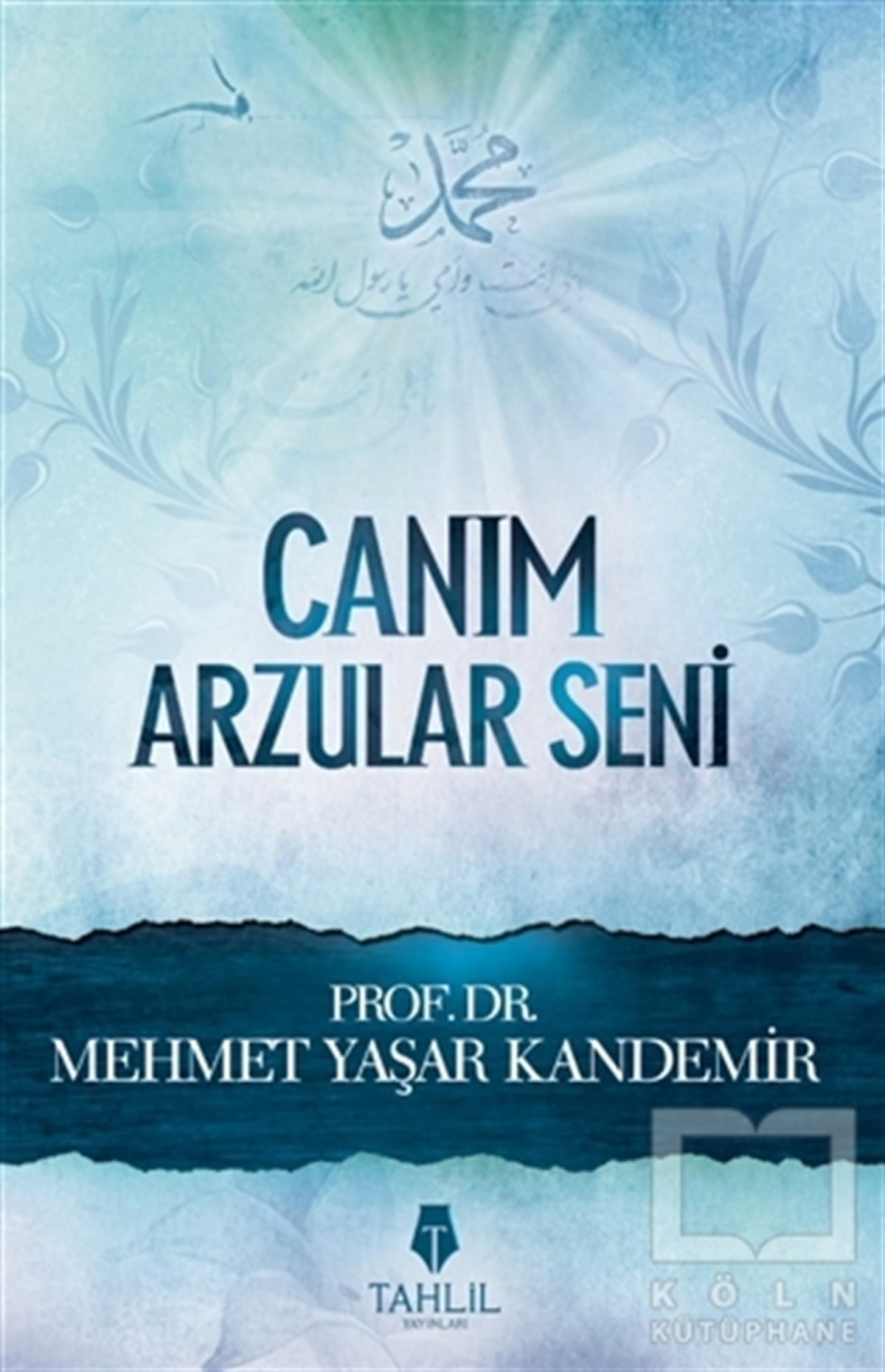 M. Yaşar KandemirAraştırma-İncelemeCanım Arzular Seni