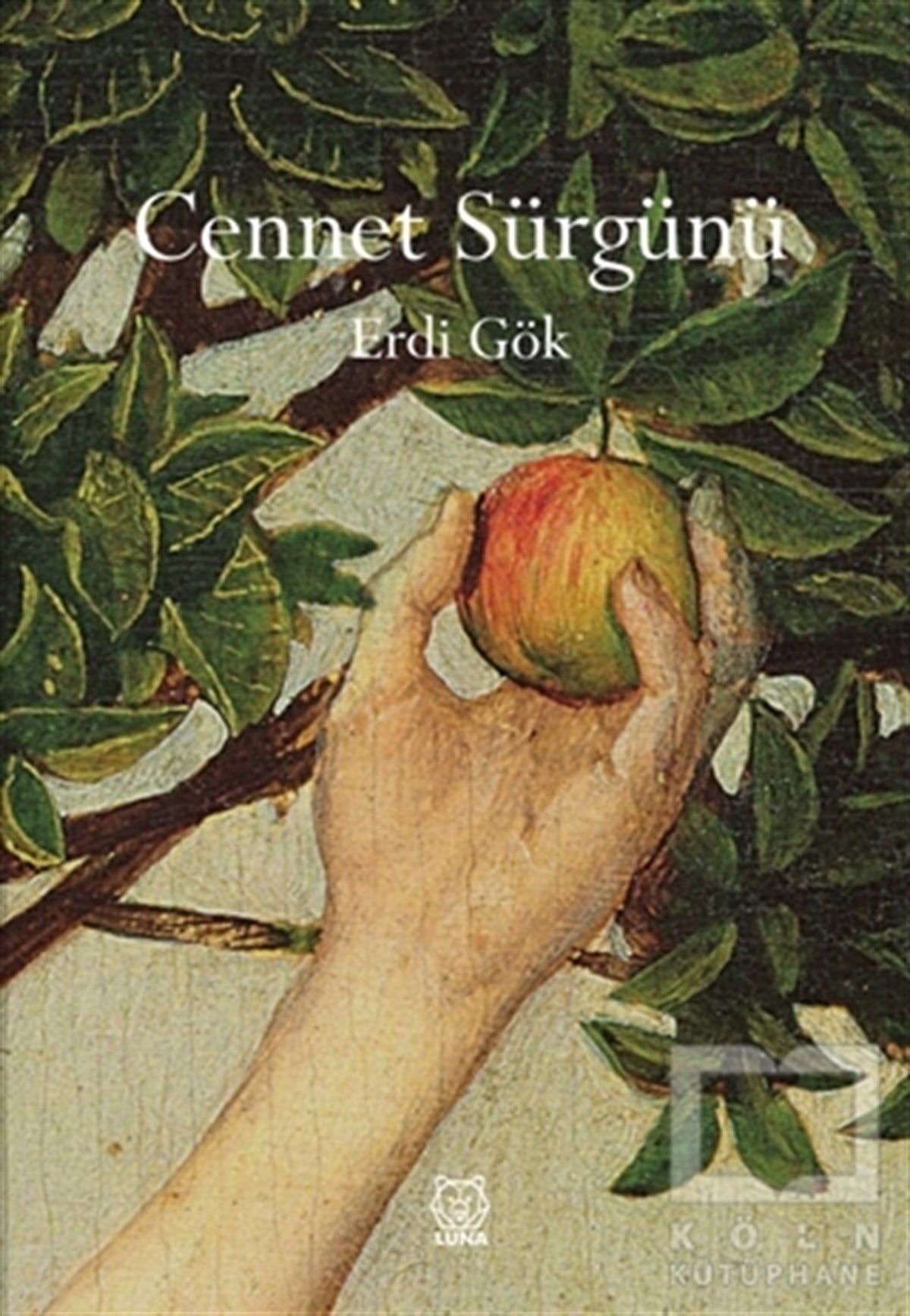 Erdi GökHikaye (Öykü) KitaplarıCennet Sürgünü