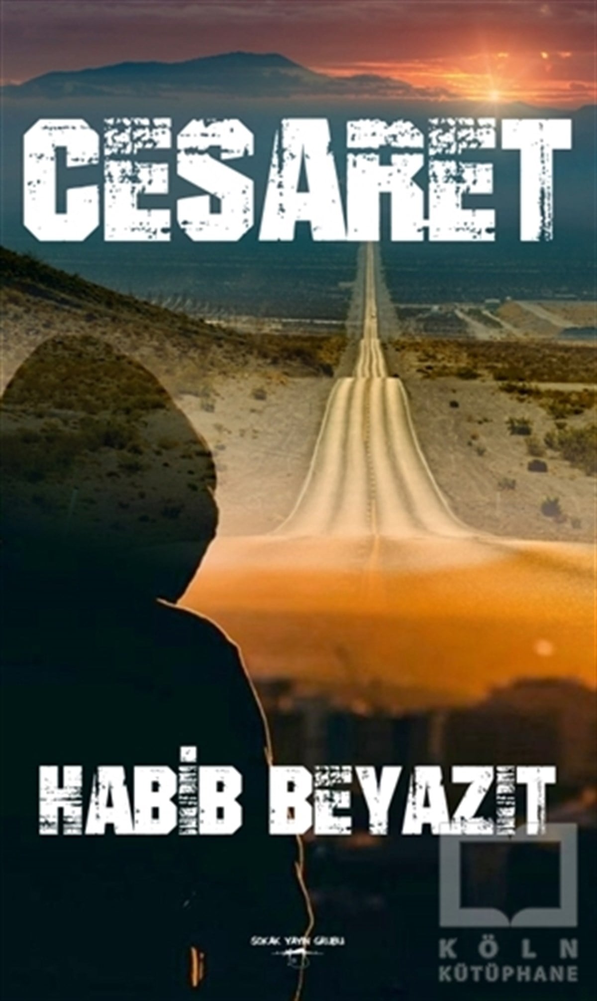 Habİb BeyazıtTürkçe RomanlarCesaret