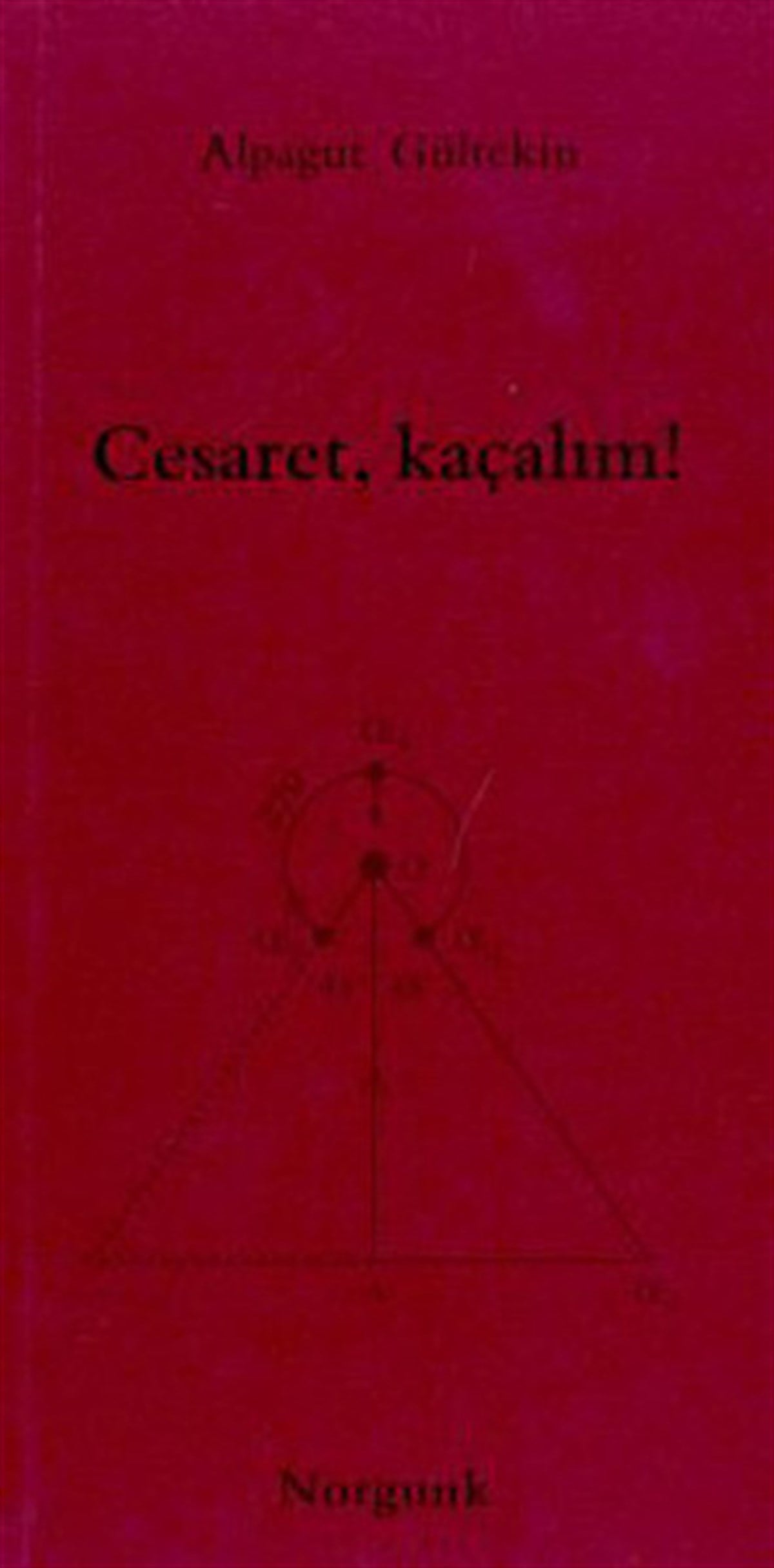 Alpagut GültekinDeneme KitaplarıCesaretKaçalım!