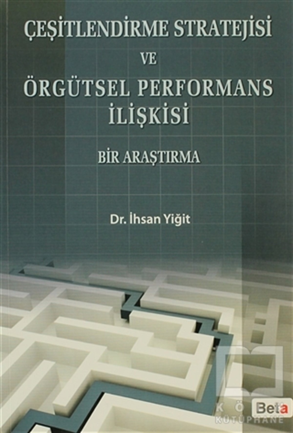 İhsan YiğitBorsa - FinansÇeşitlendirme Stratejisi ve Örgütsel Performans İlişkisi