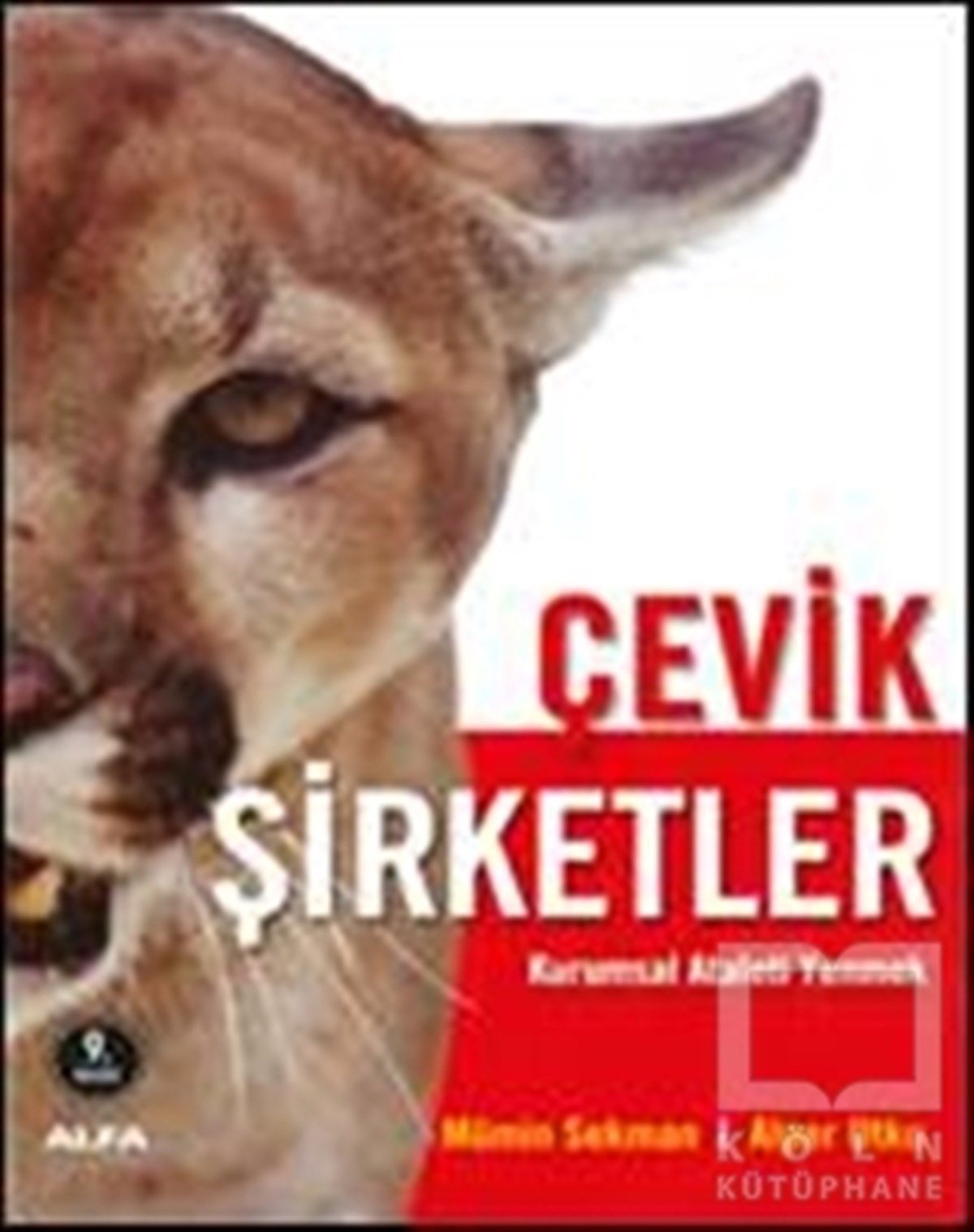 Mümin SekmanKişisel GelişimÇevik Şirketler