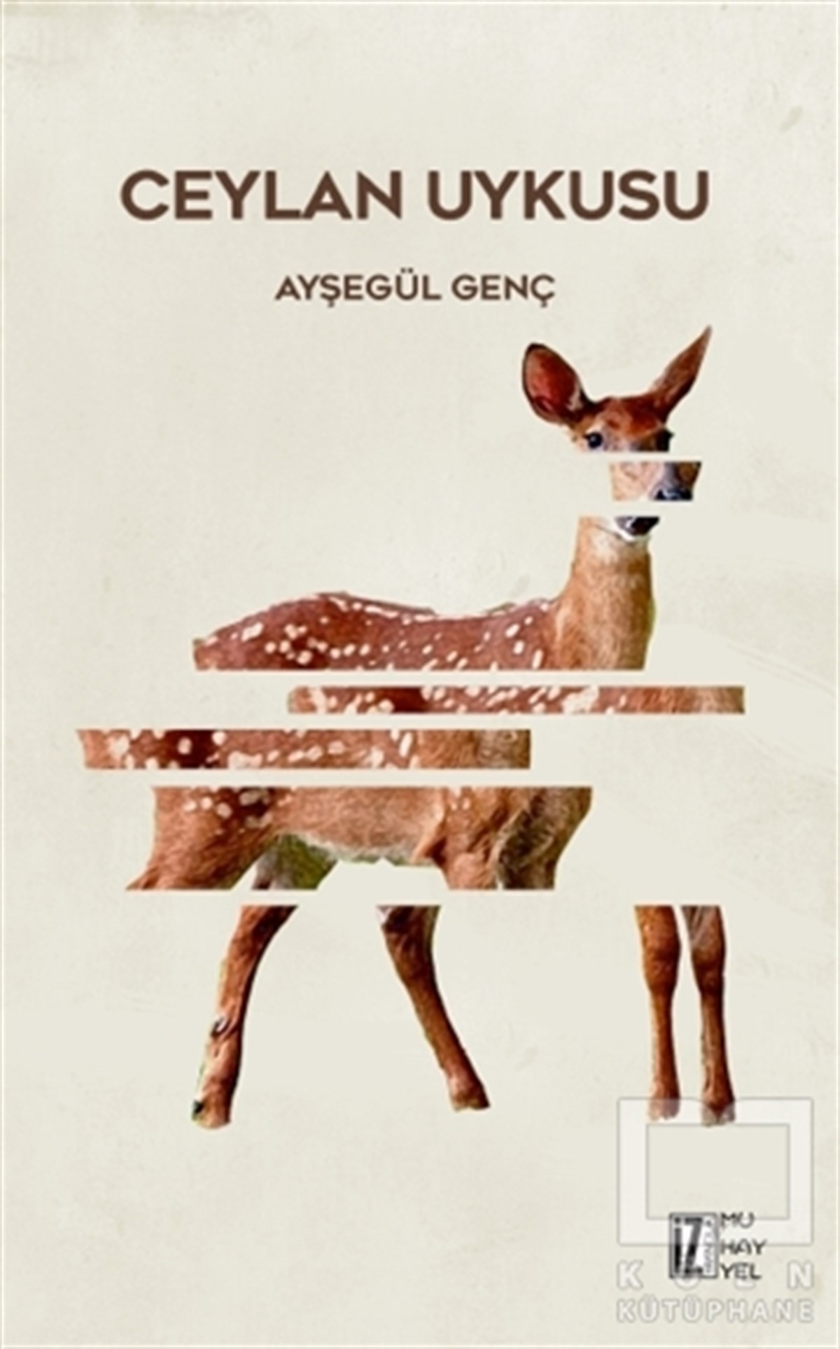 Ayşegül GençÖyküCeylan Uykusu