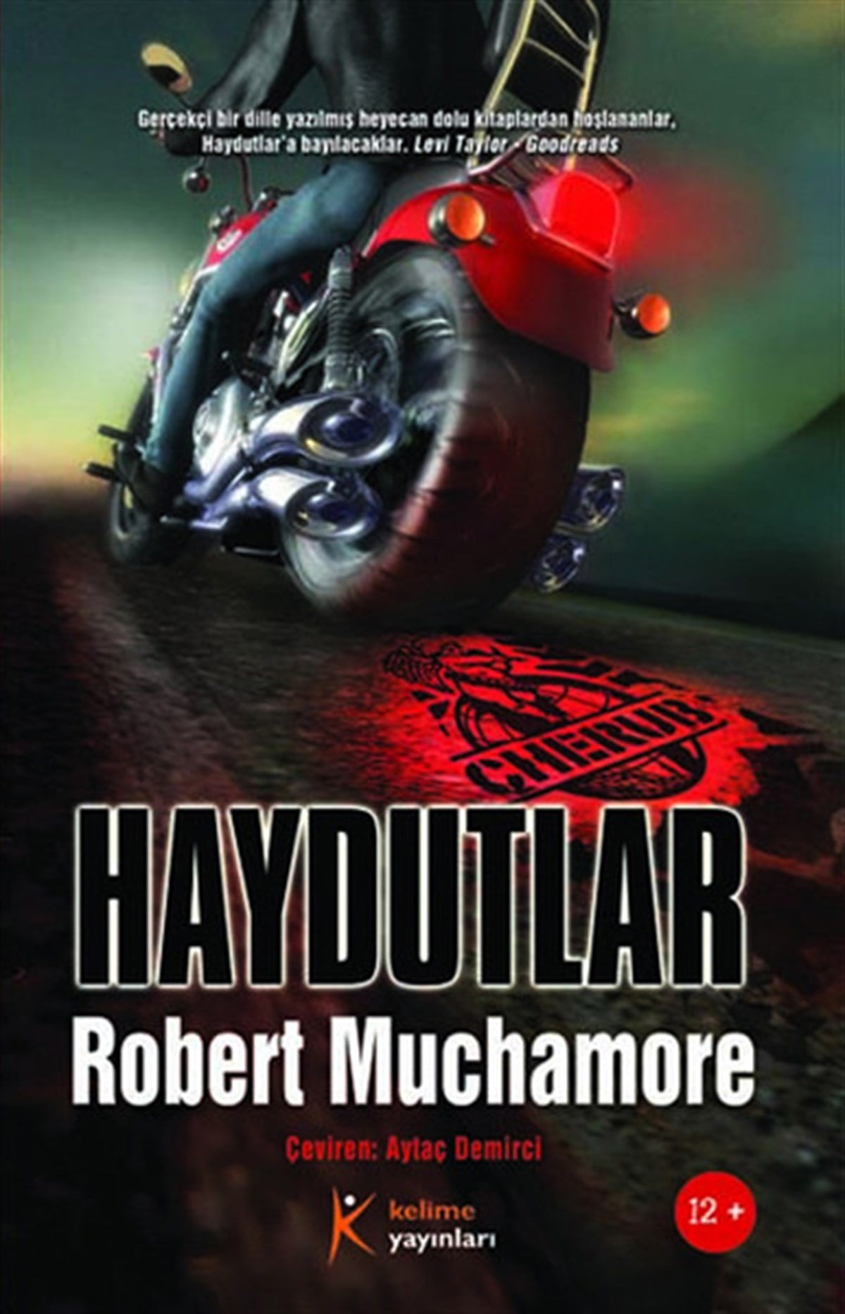 Robert MuchamoreÇocuk Gençlik RomanlarıCherub 11 - Haydutlar