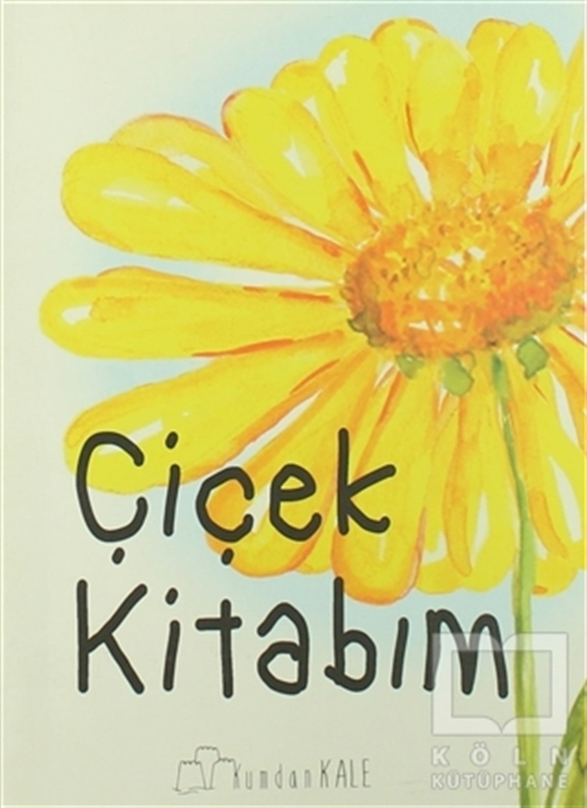 Işıl ErverdiOkul Öncesi Şekilli KitaplarÇiçek Kitabım