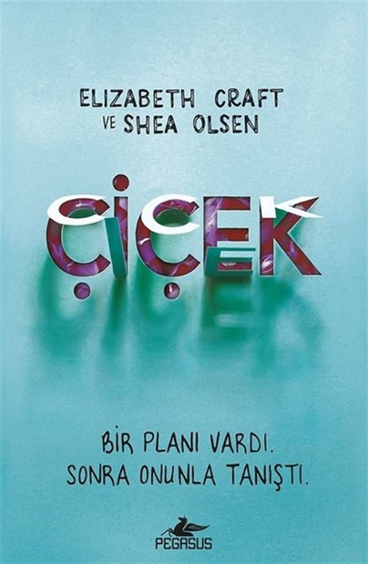 Ezgi GültekinDünya RomanÇiçek