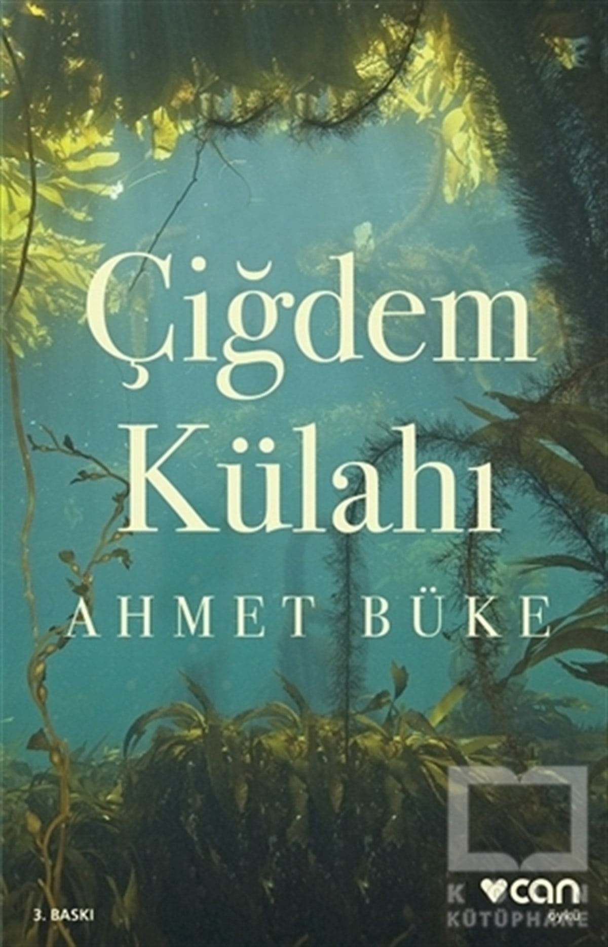 Ahmet BükeÖyküÇiğdem Külahı