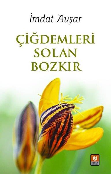 İmdat AvşarHikaye (Öykü) KitaplarıÇiğdemleri Solan Bozkır