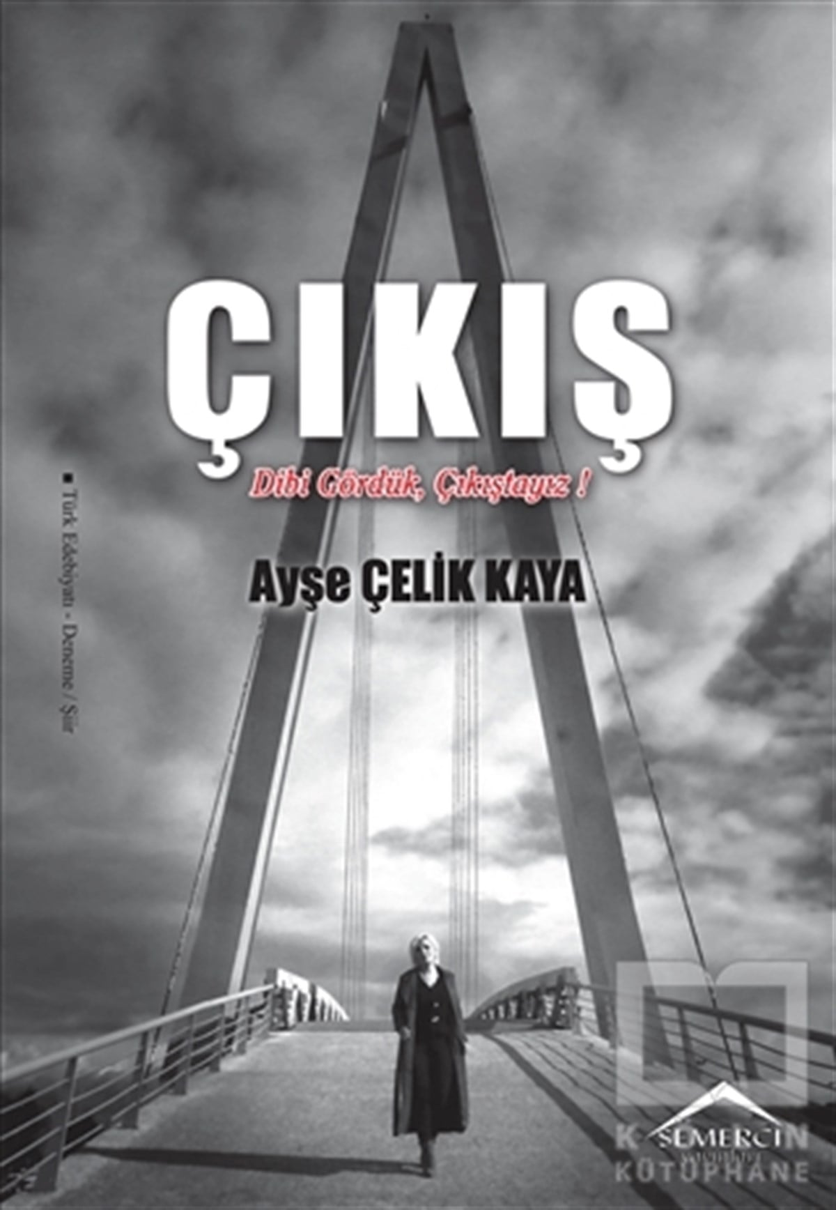 Ayşe Çelik KayaŞiirÇıkış