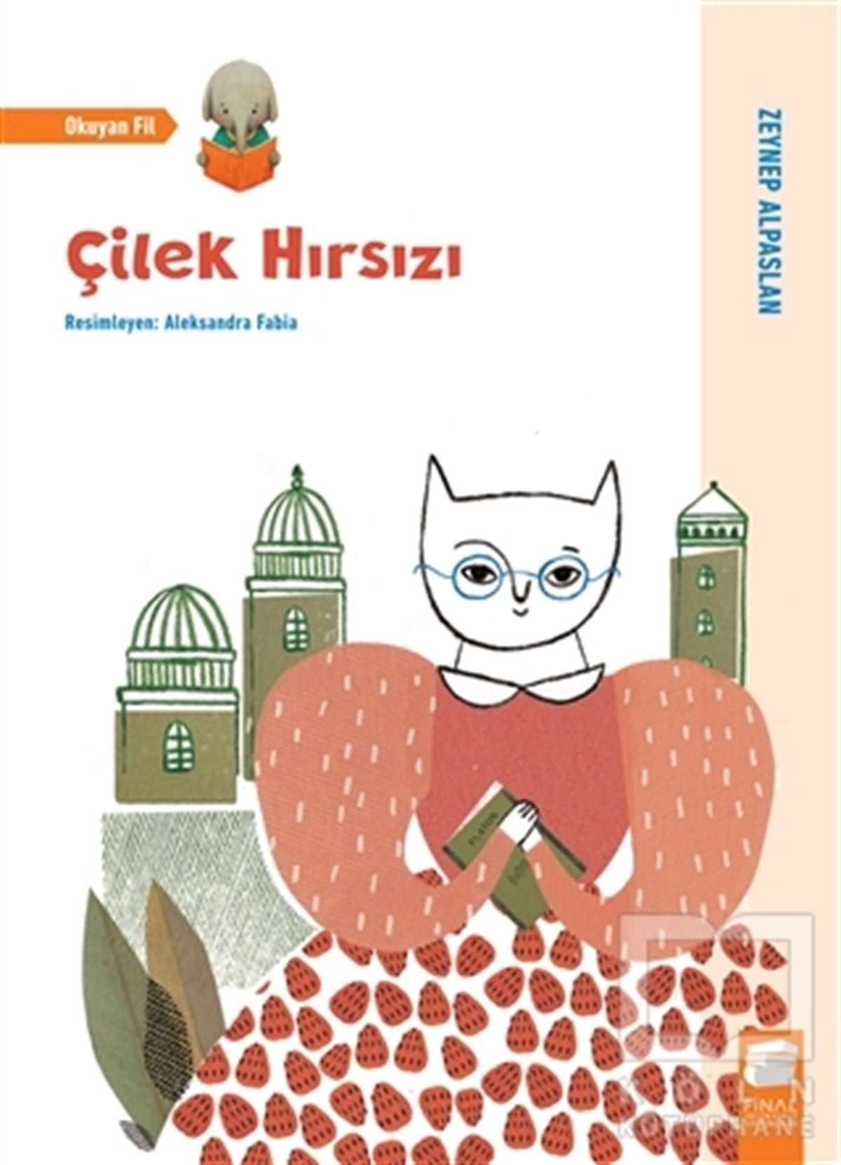 Zeynep AlpaslanHikayelerÇilek Hırsızı
