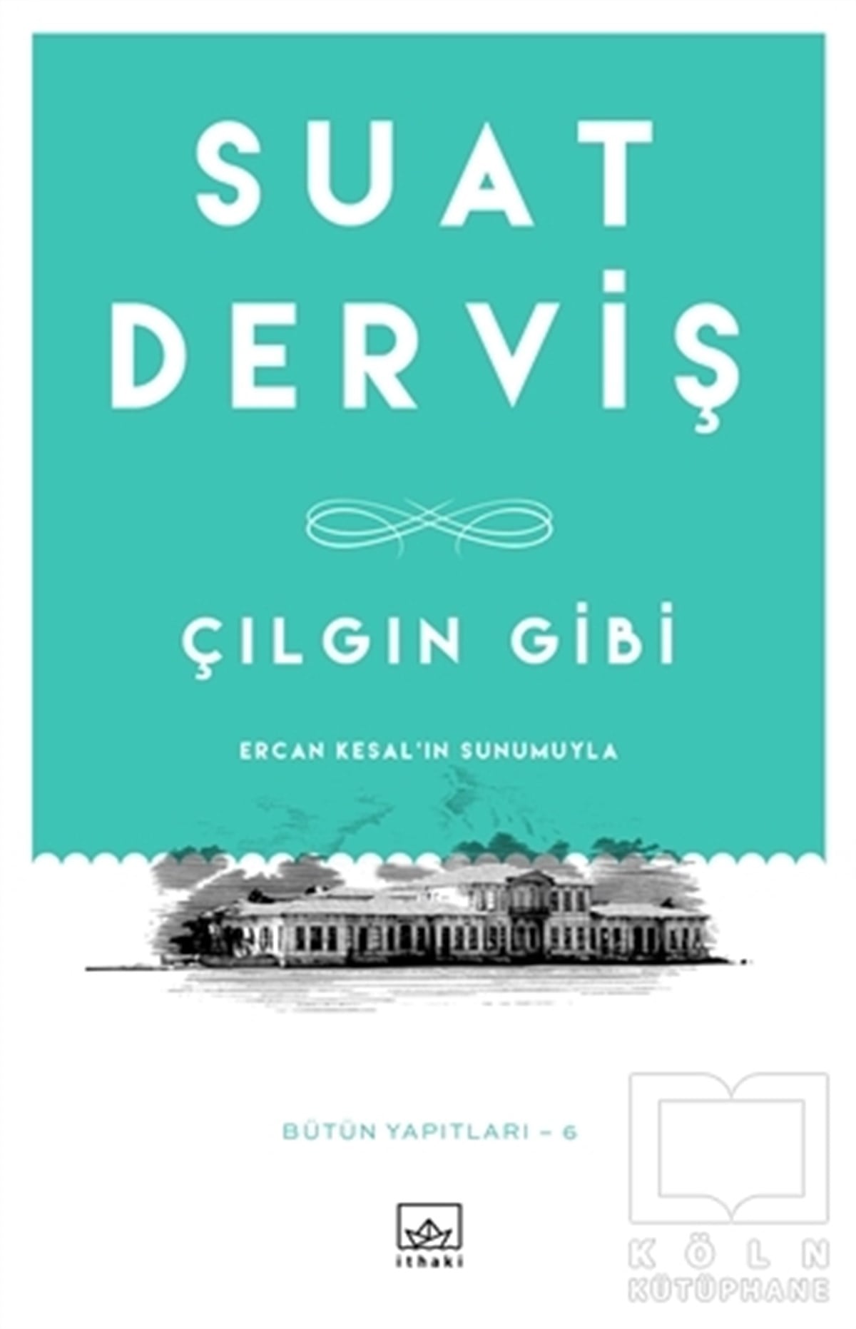 Suat DervişTürkçe RomanlarÇılgın Gibi