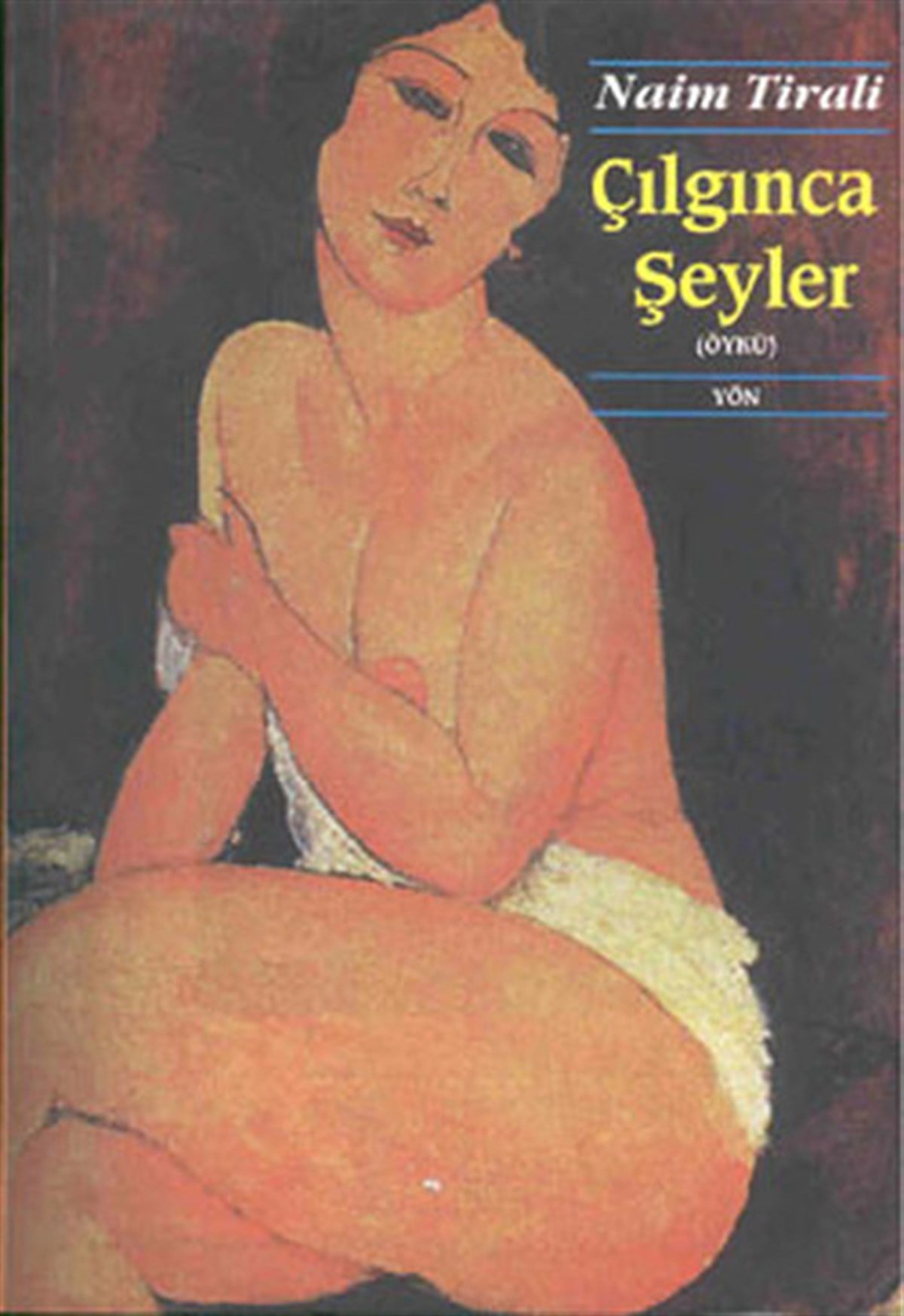 Naim TiraliTürkiye RomanÇılgınca Şeyler