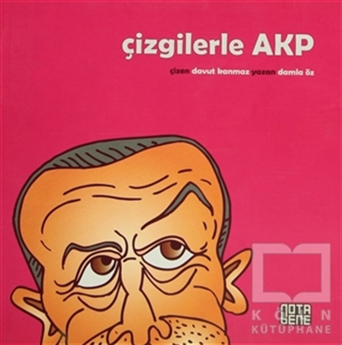 Damla ÖzDiğerÇizgilerle AKP