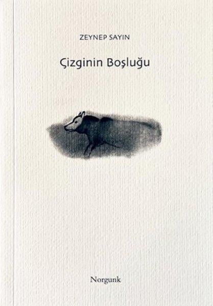 Zeynep SayınSanat Kuramı KitaplarıÇizginin Boşluğu