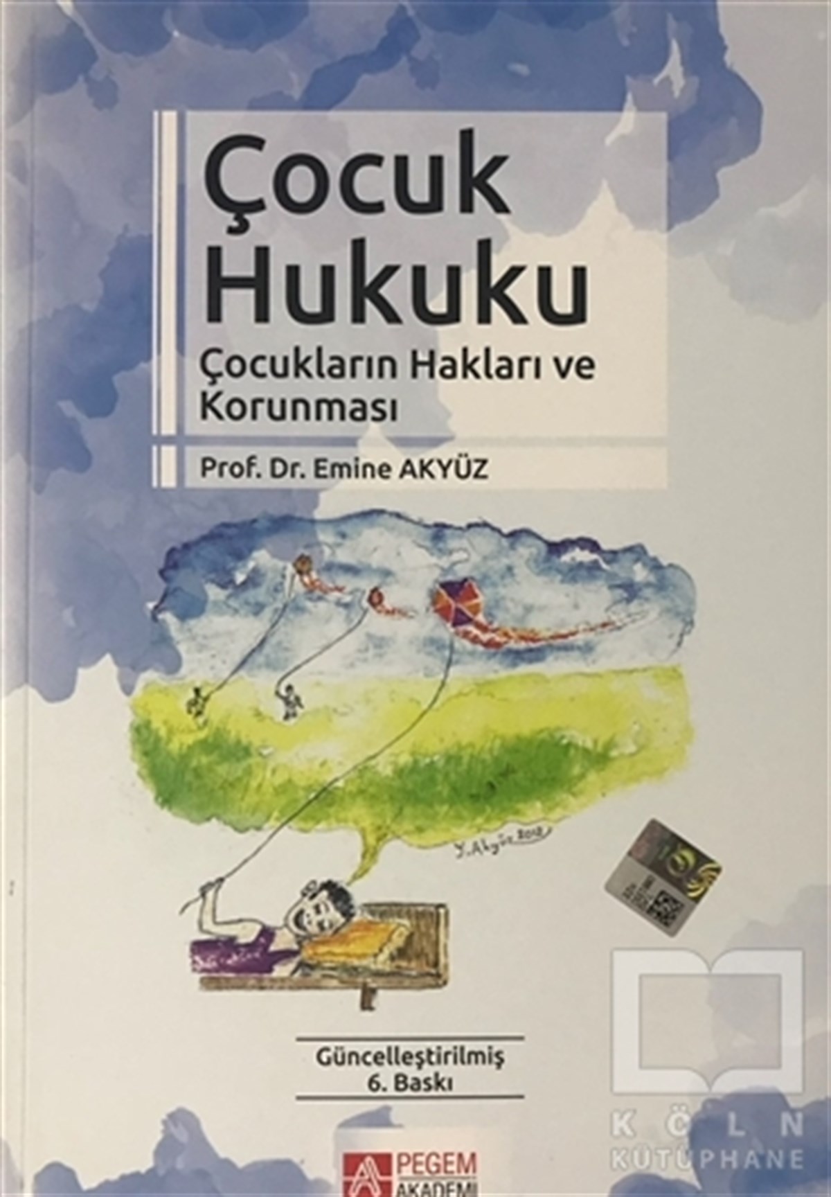Emine AkyüzDers KitaplarıÇocuk Hukuku